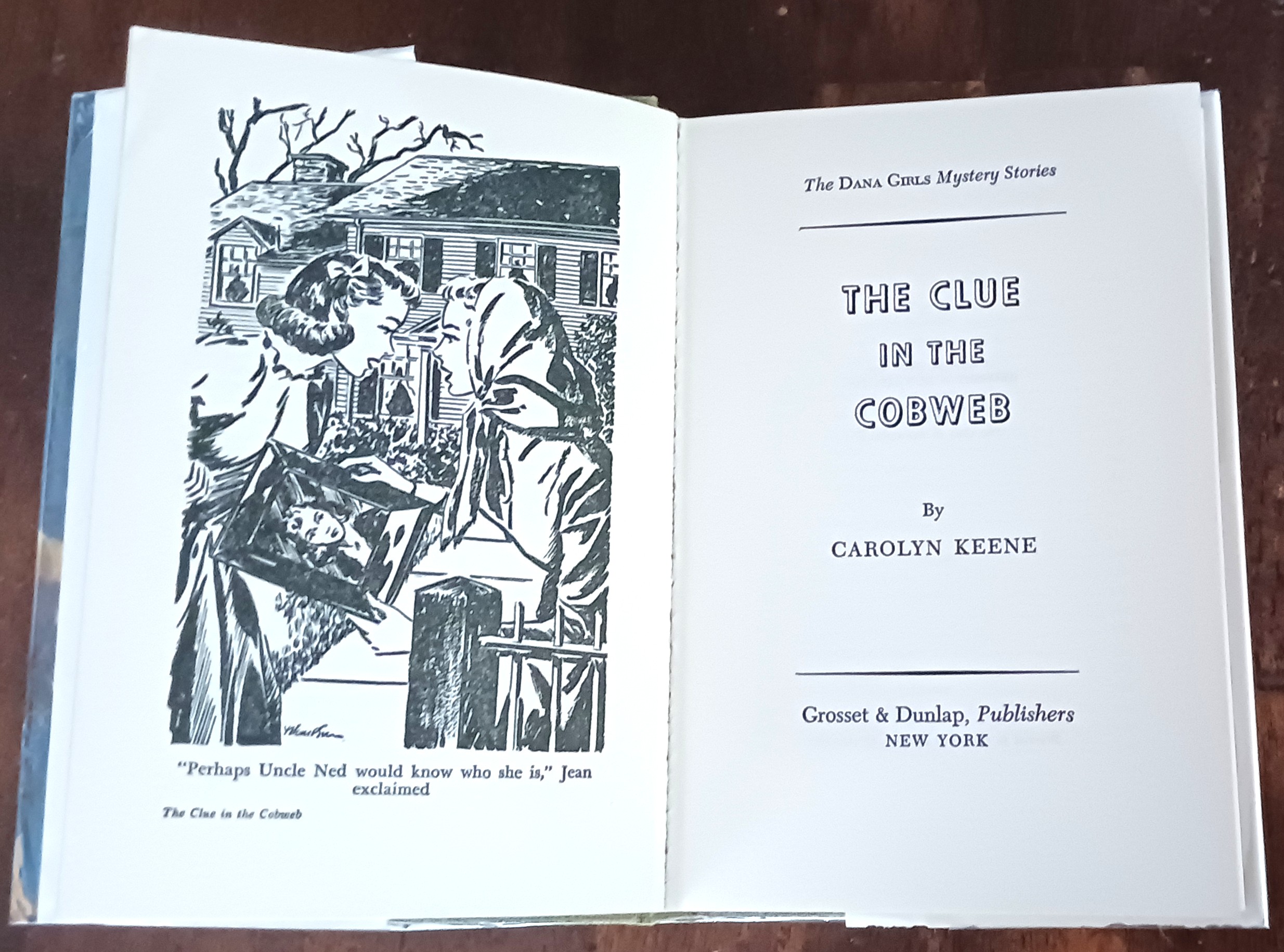 Image for The Clue in the Cobweb (The Dana Girls Mystery Stories) The Clue in the Cobweb (The Dana Girls Mystery Stories)