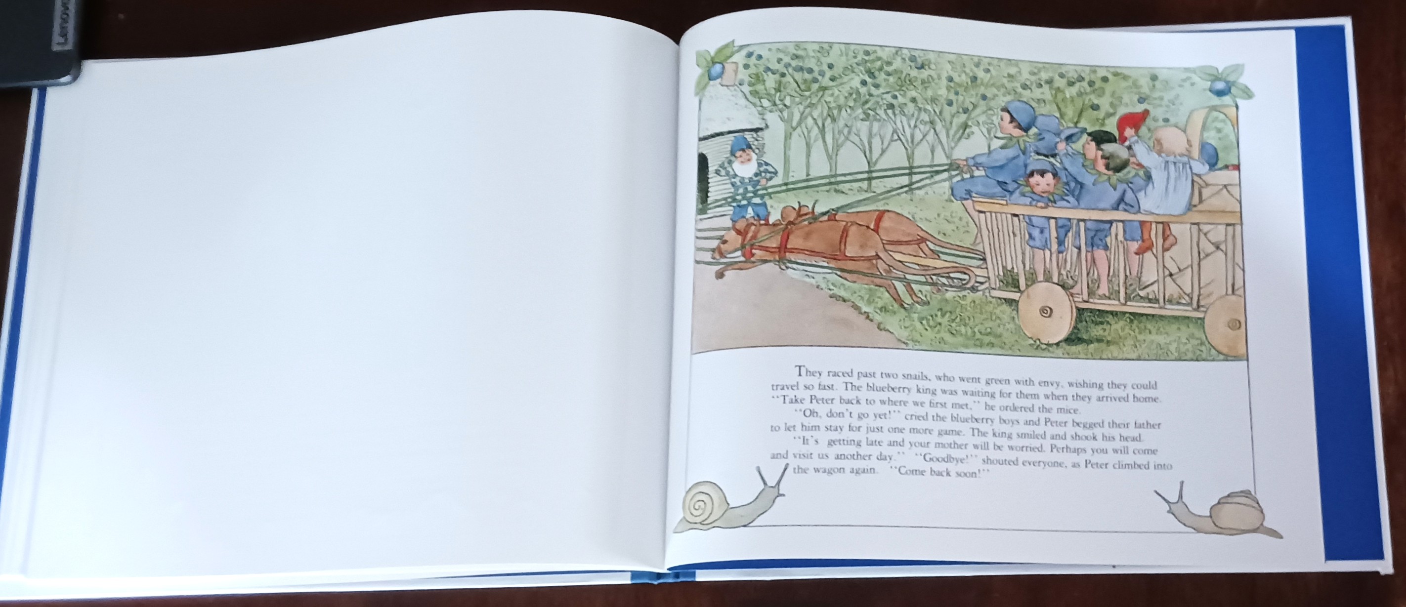 Peter in Blueberry Land