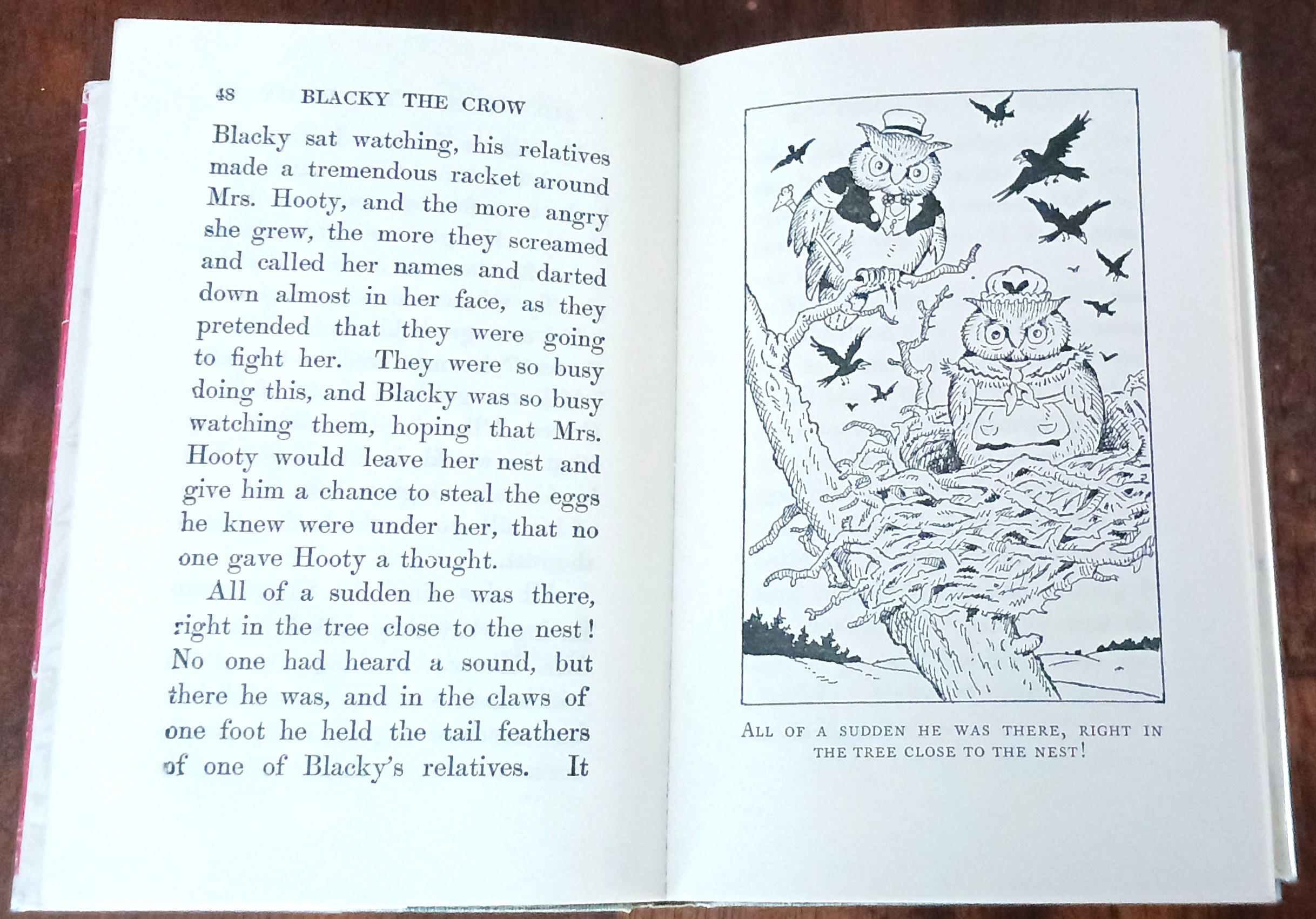 Blacky the Crow (Green Forest Series)