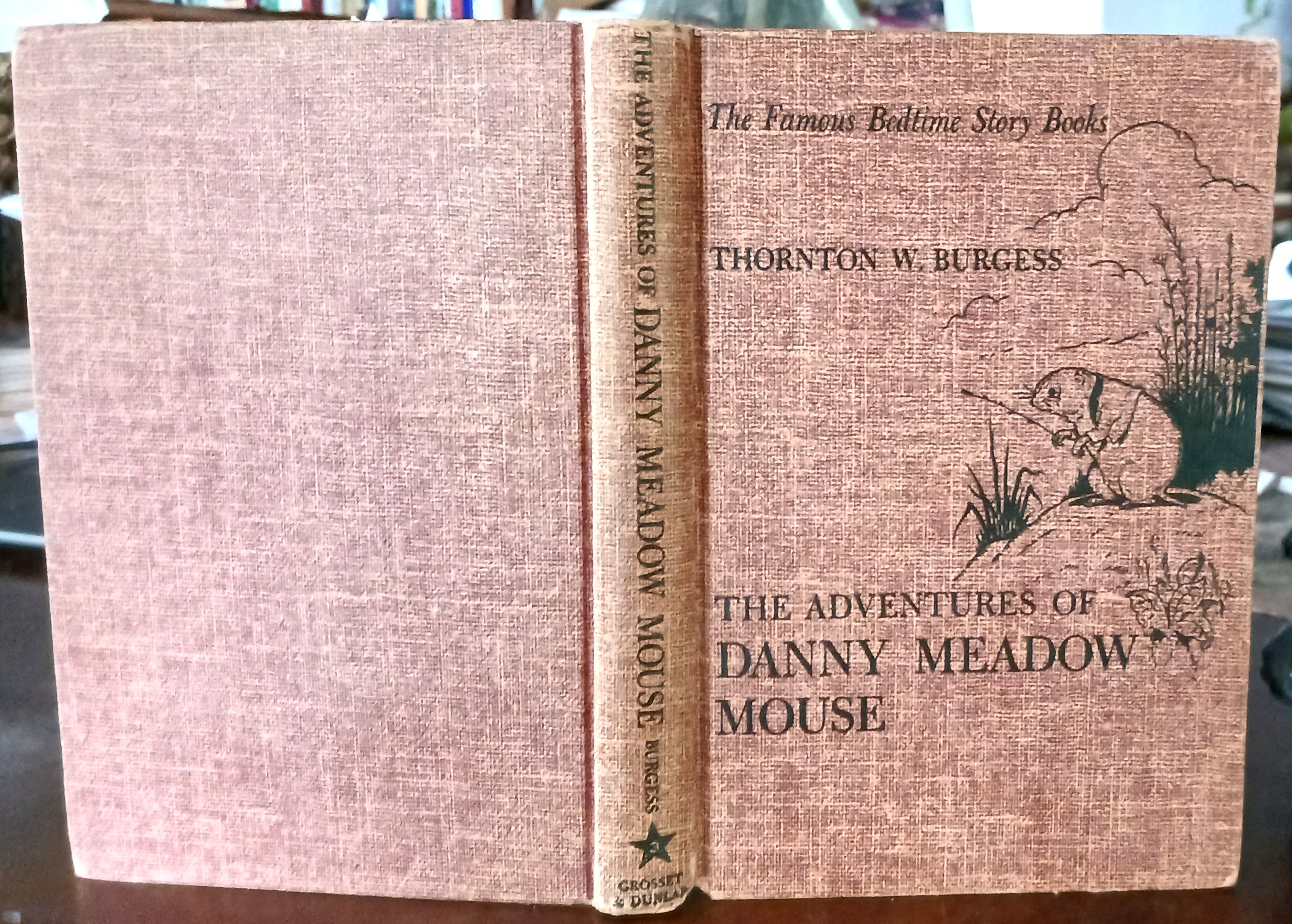 The Adventures of Danny Meadow Mouse (Bedtime Story Books)