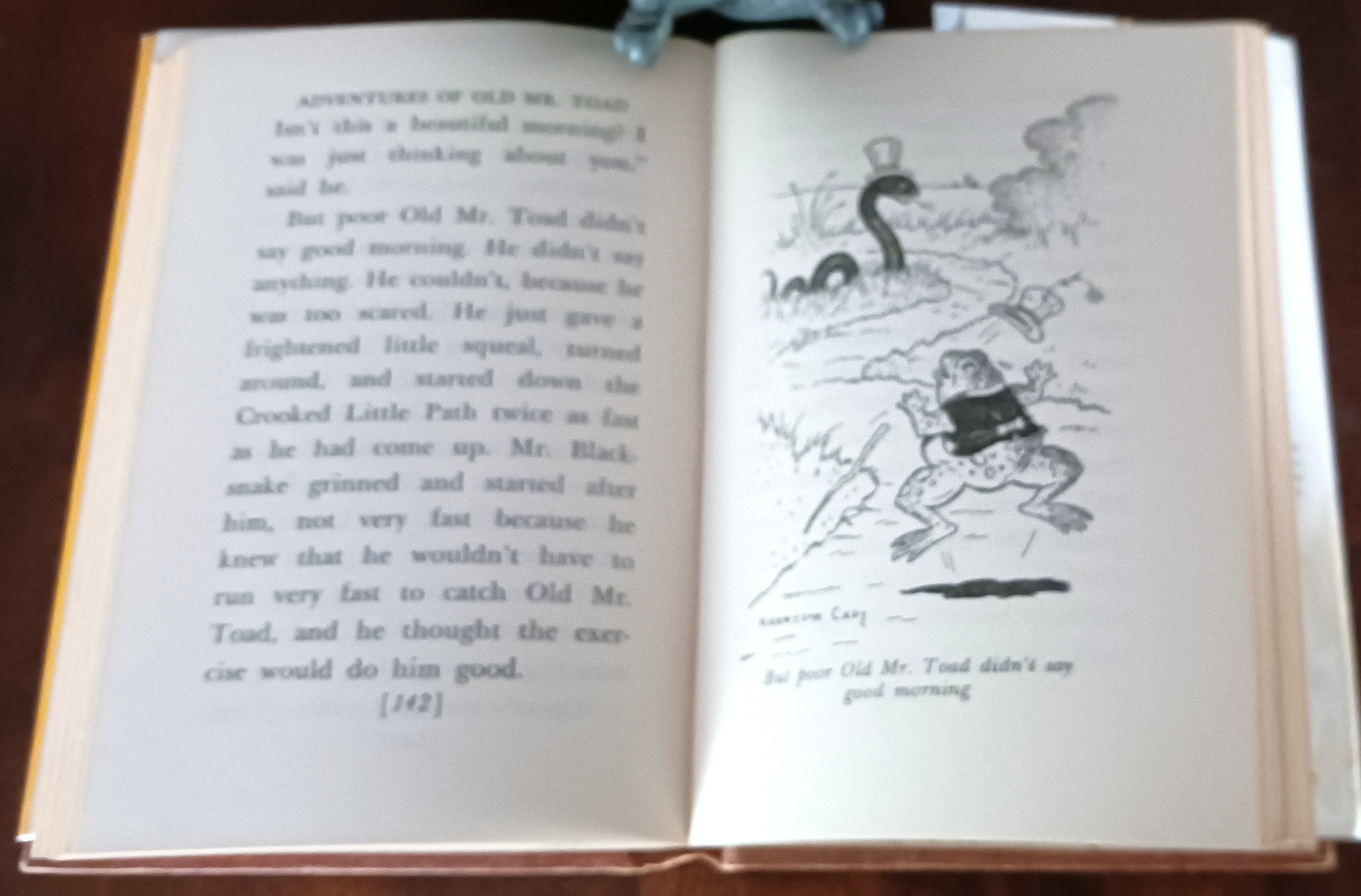 The Adventures of Old Mister Toad (Bedtime Story Books)