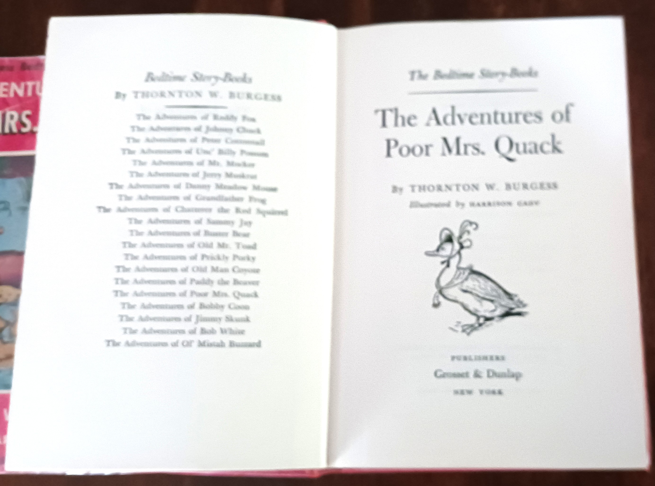 The Adventures of Poor Mrs. Quack (Bedtime Story Books)