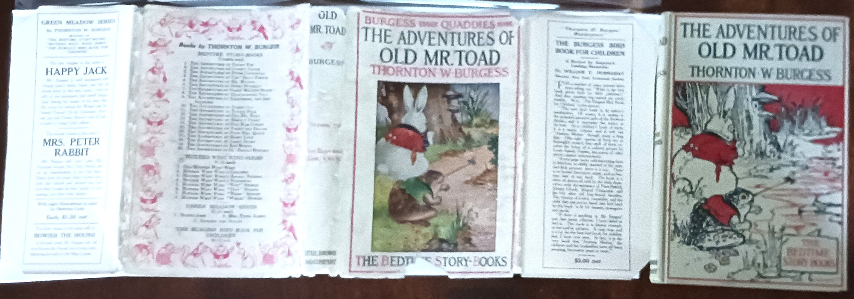 The Adventures of Old Mr. Toad (Bedtime Story Books)