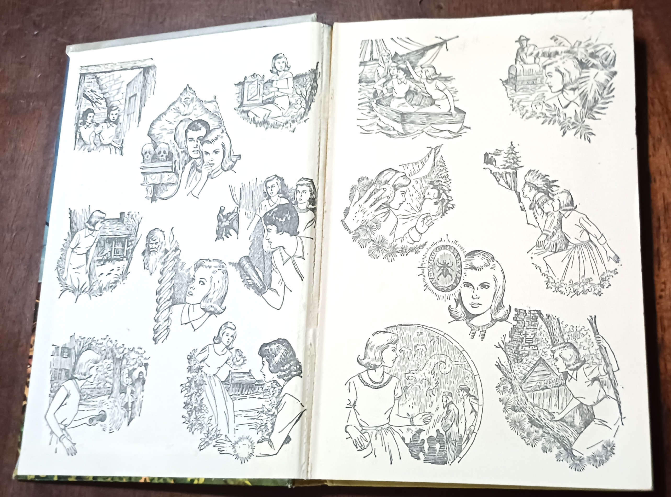 Image for The Clue in the Diary (Nancy Drew Mystery Stories) The Clue in the Diary (Nancy Drew Mystery Stories)