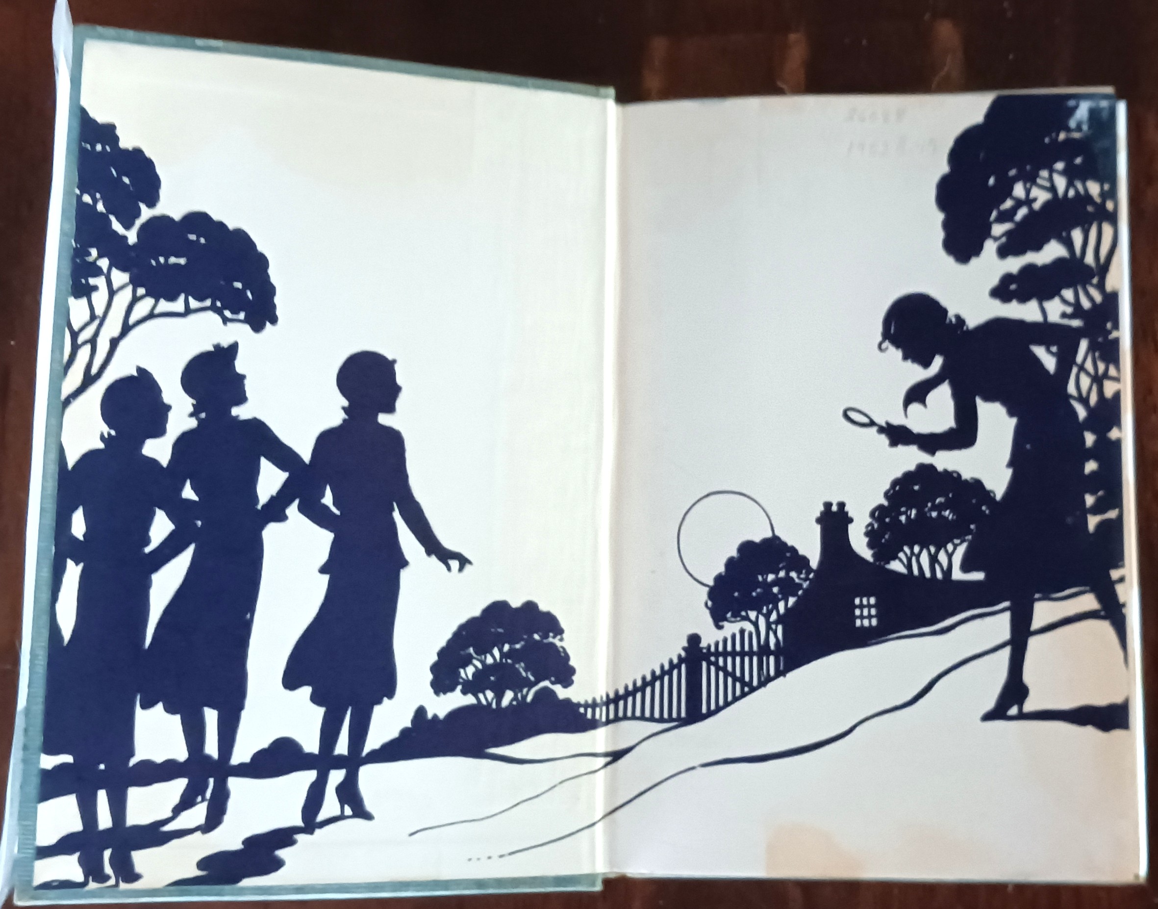 Image for The Clue in the Diary (Nancy Drew Mystery Stories) The Clue in the Diary (Nancy Drew Mystery Stories)