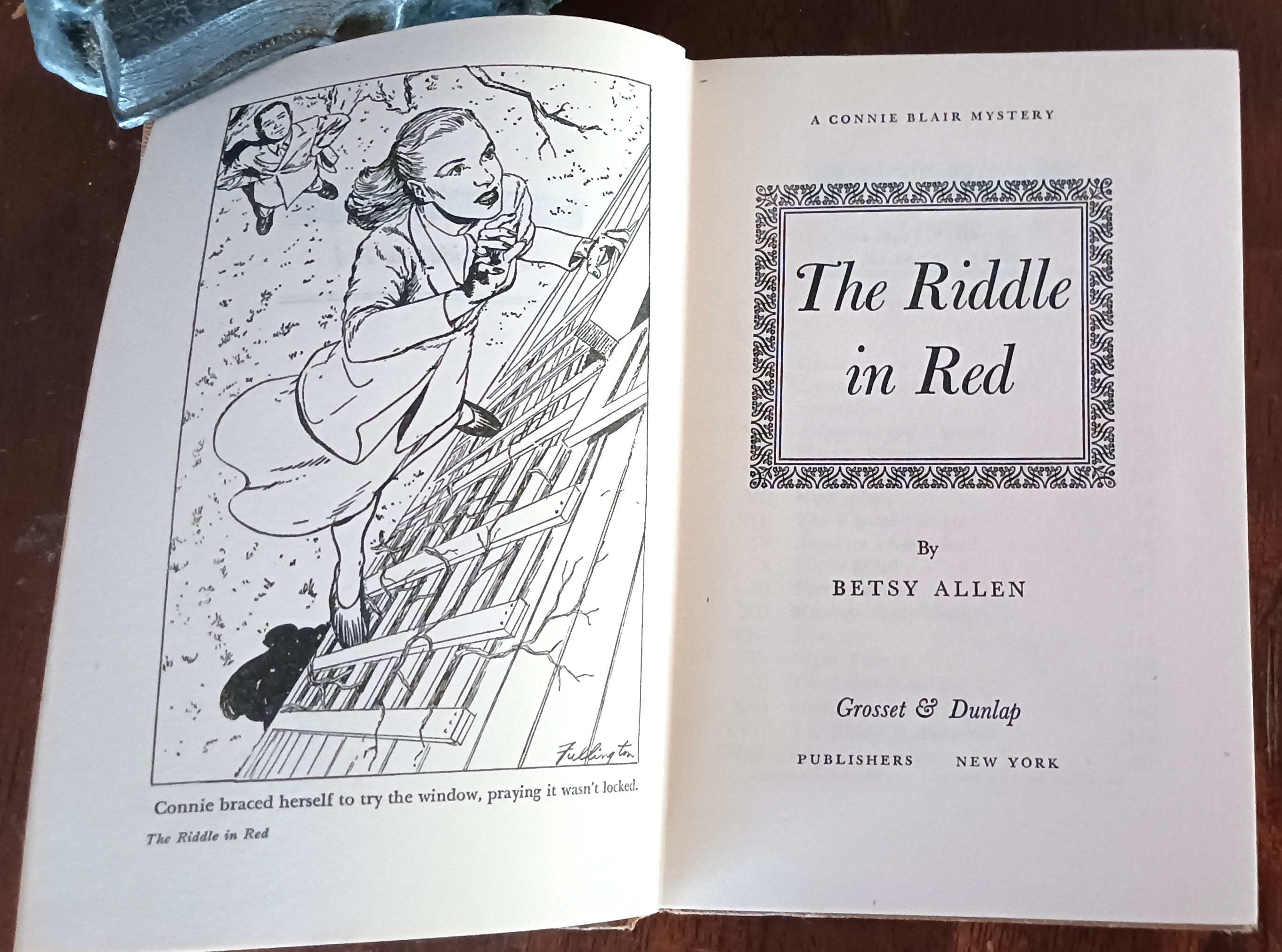 The Riddle in Red (A Connie Blair Mystery)