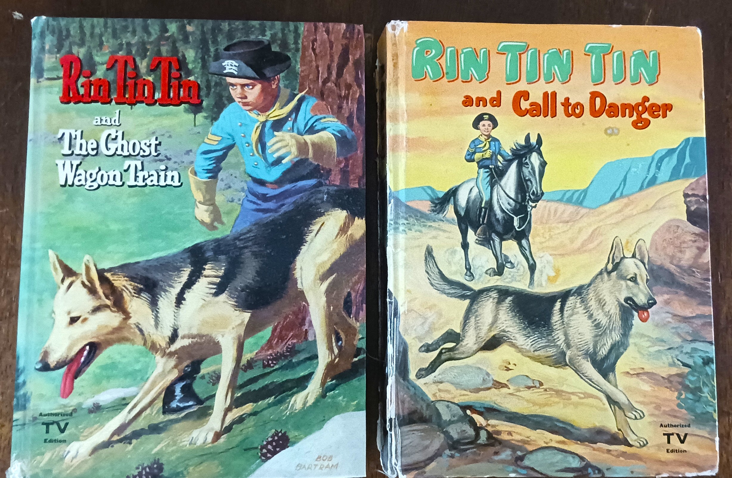 Rin Tin Tin and the Ghost Wagon Train/Rin Tin Tin & Call to Danger (2 Books)