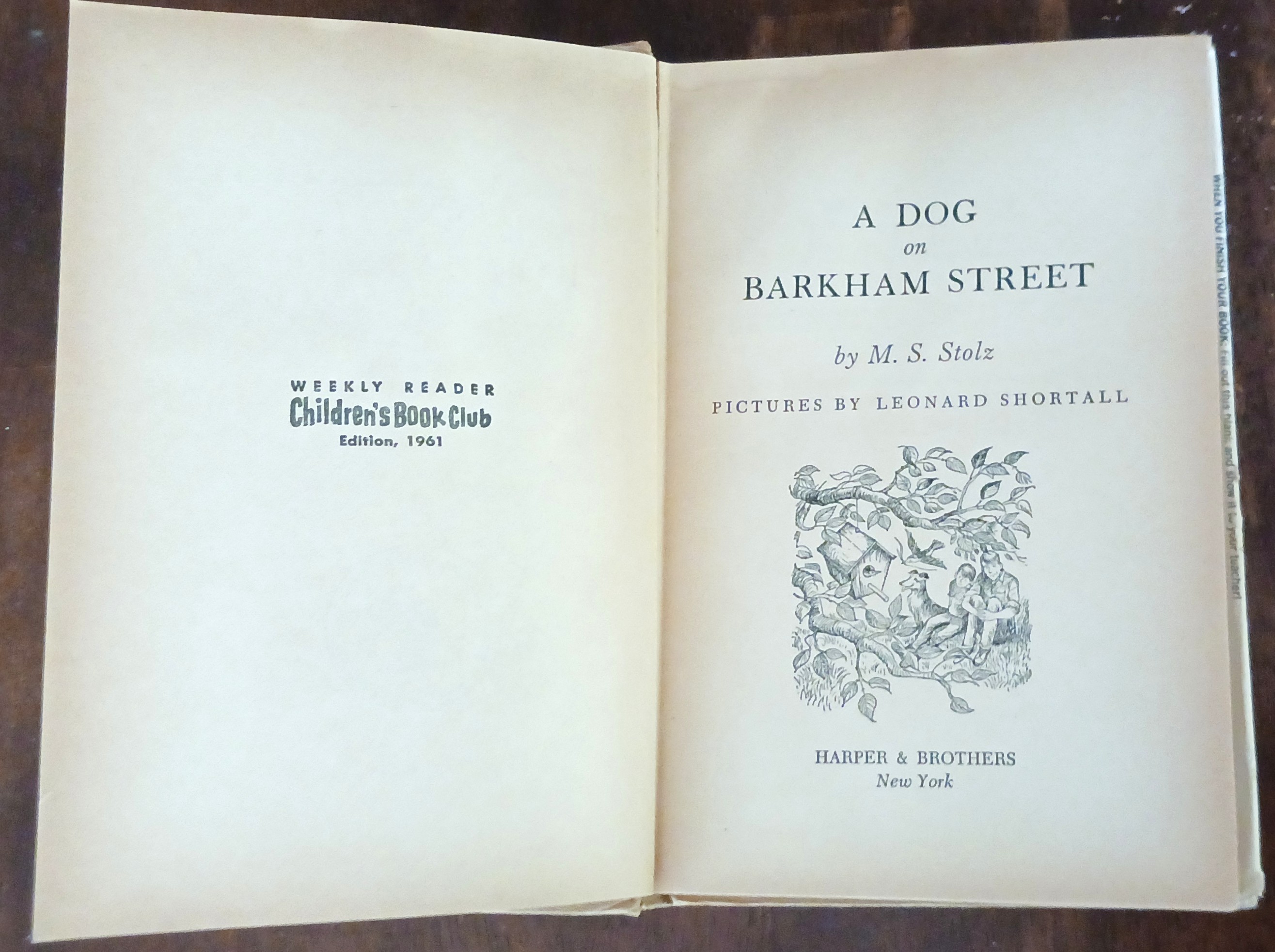 A Dog on Barkham Street