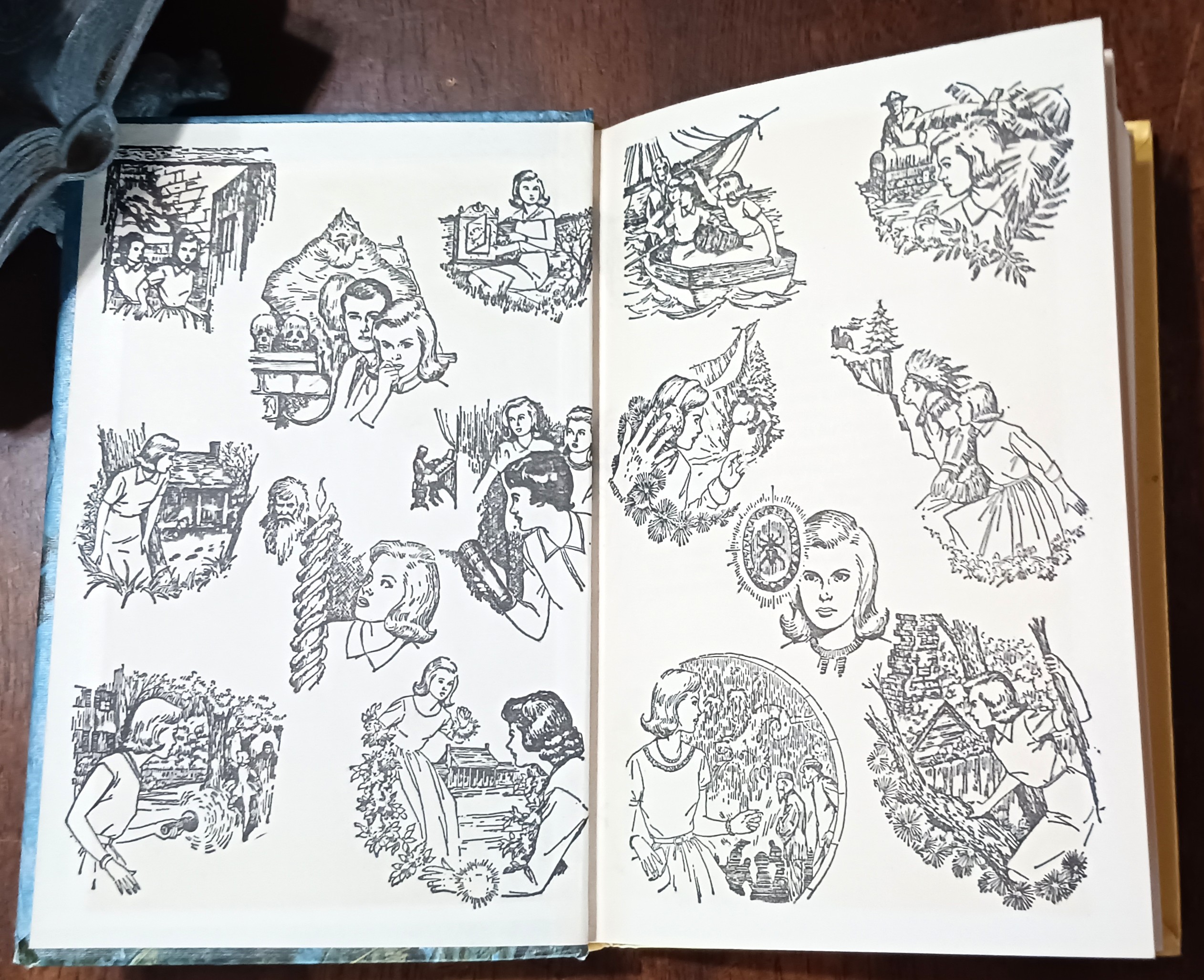 The Message in the Hollow Oak (Nancy Drew Mystery Stories)