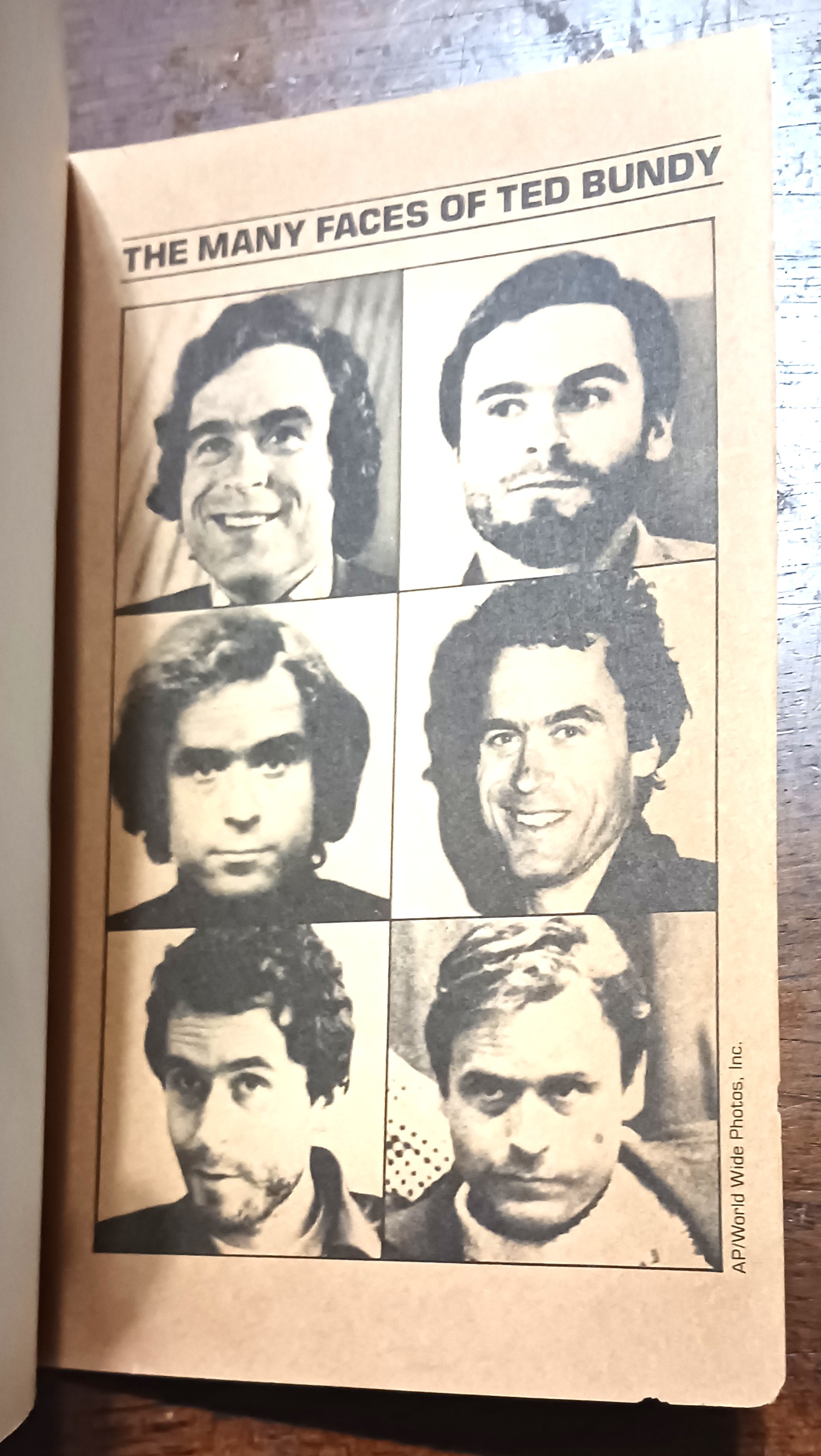 Bundy: The Deliberate Stranger