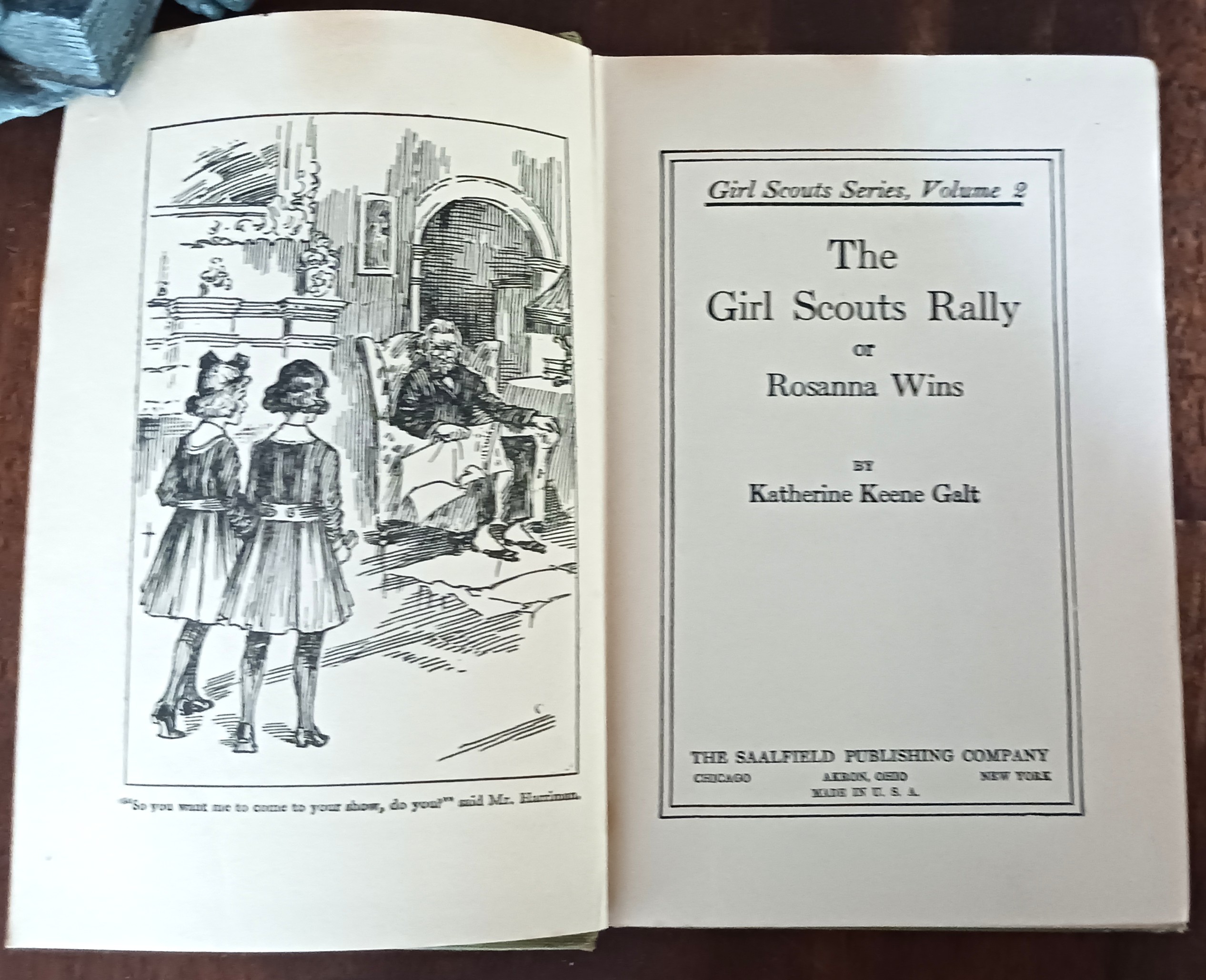 Image for The Girl Scouts Rally or Rosanna Wins (Girl Scout series) The Girl Scouts Rally or Rosanna Wins (Girl Scout series)