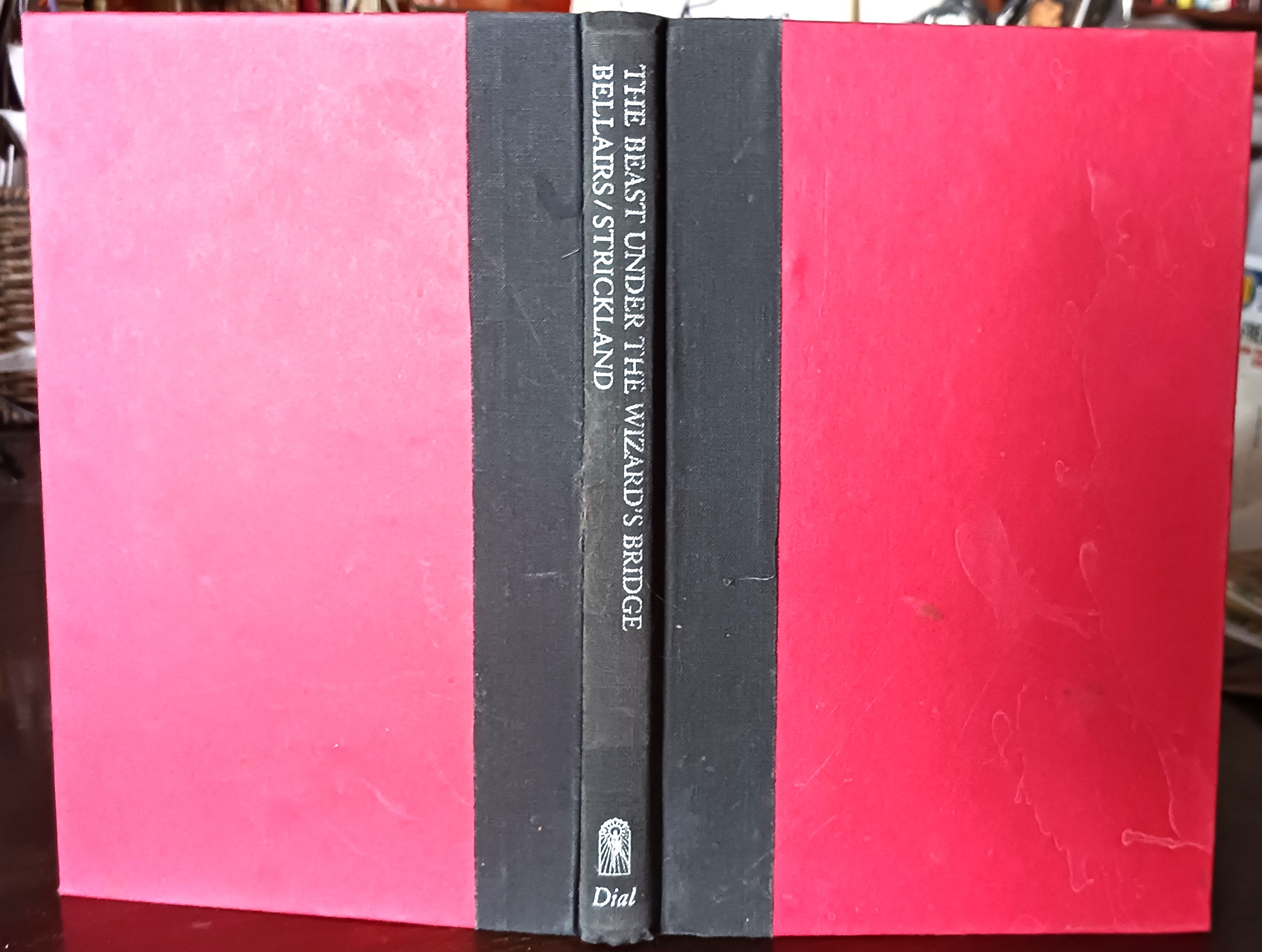 Image for The Beast under the Wizard's Bridge The Beast under the Wizard's Bridge