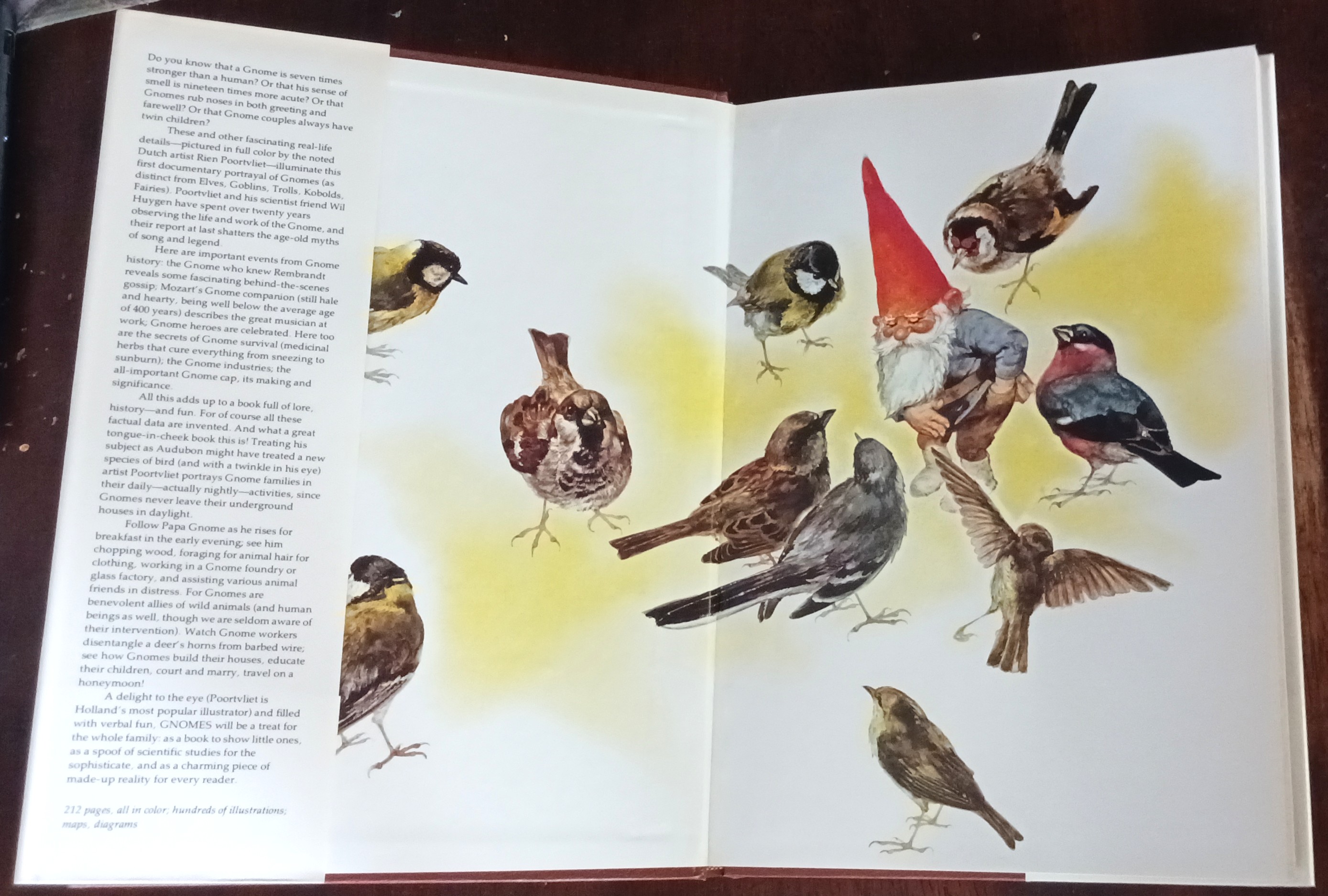 Image for Gnomes Gnomes