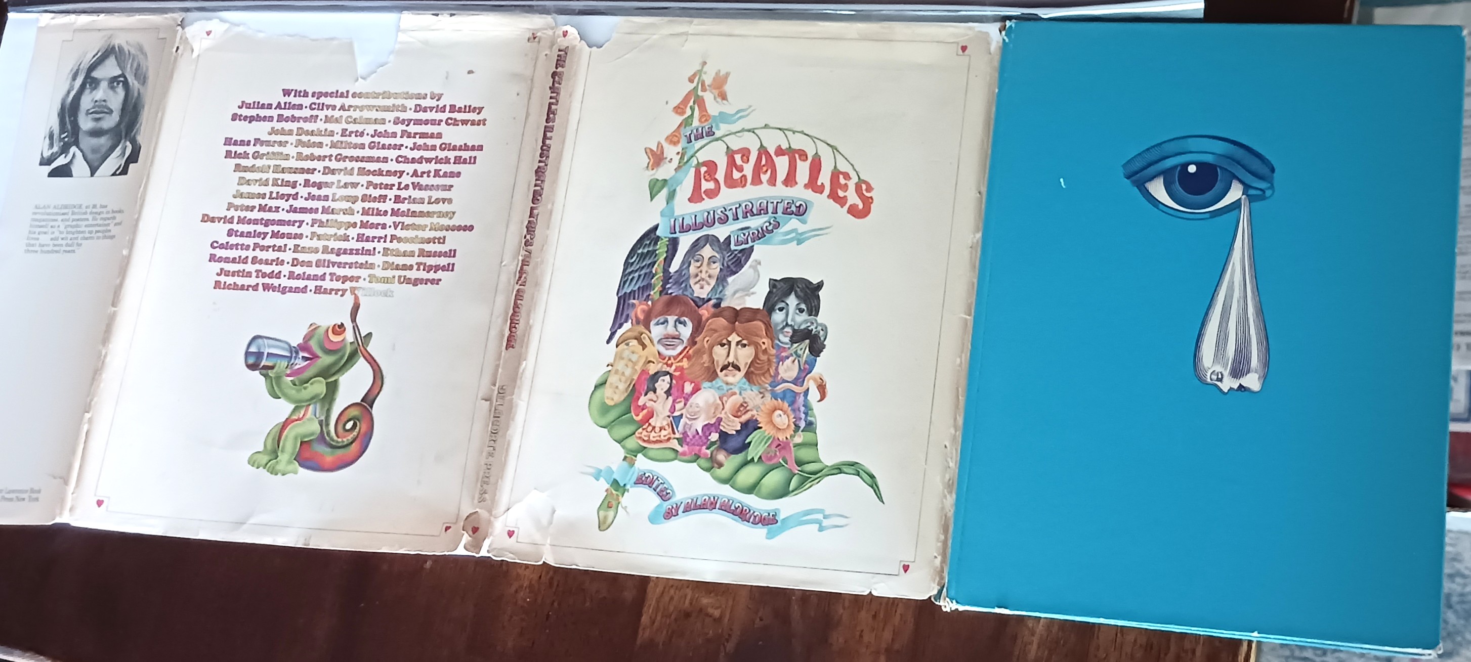 The Beatles Illustrated Lyrics