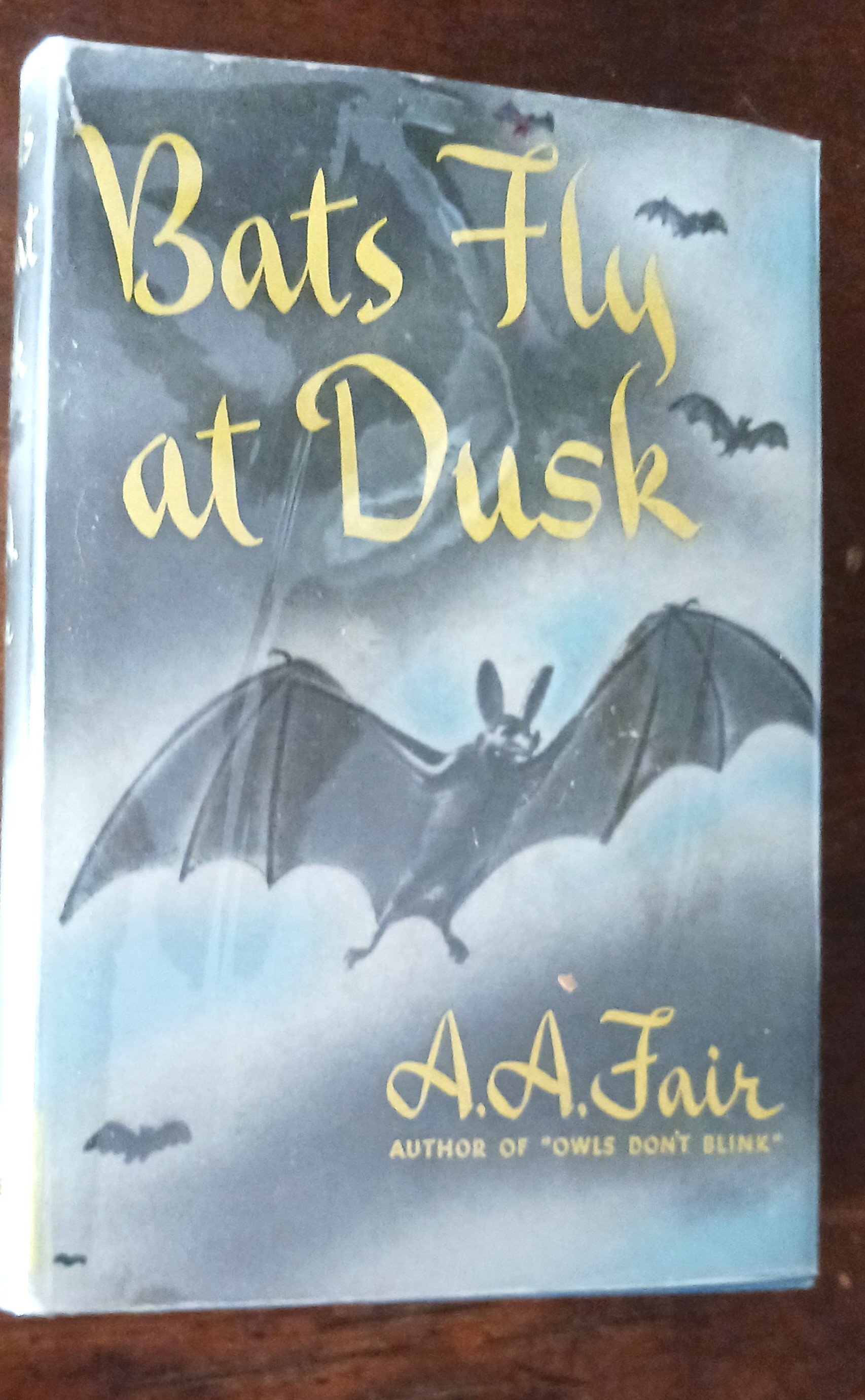 Image for Bats Fly at Dusk Bats Fly at Dusk