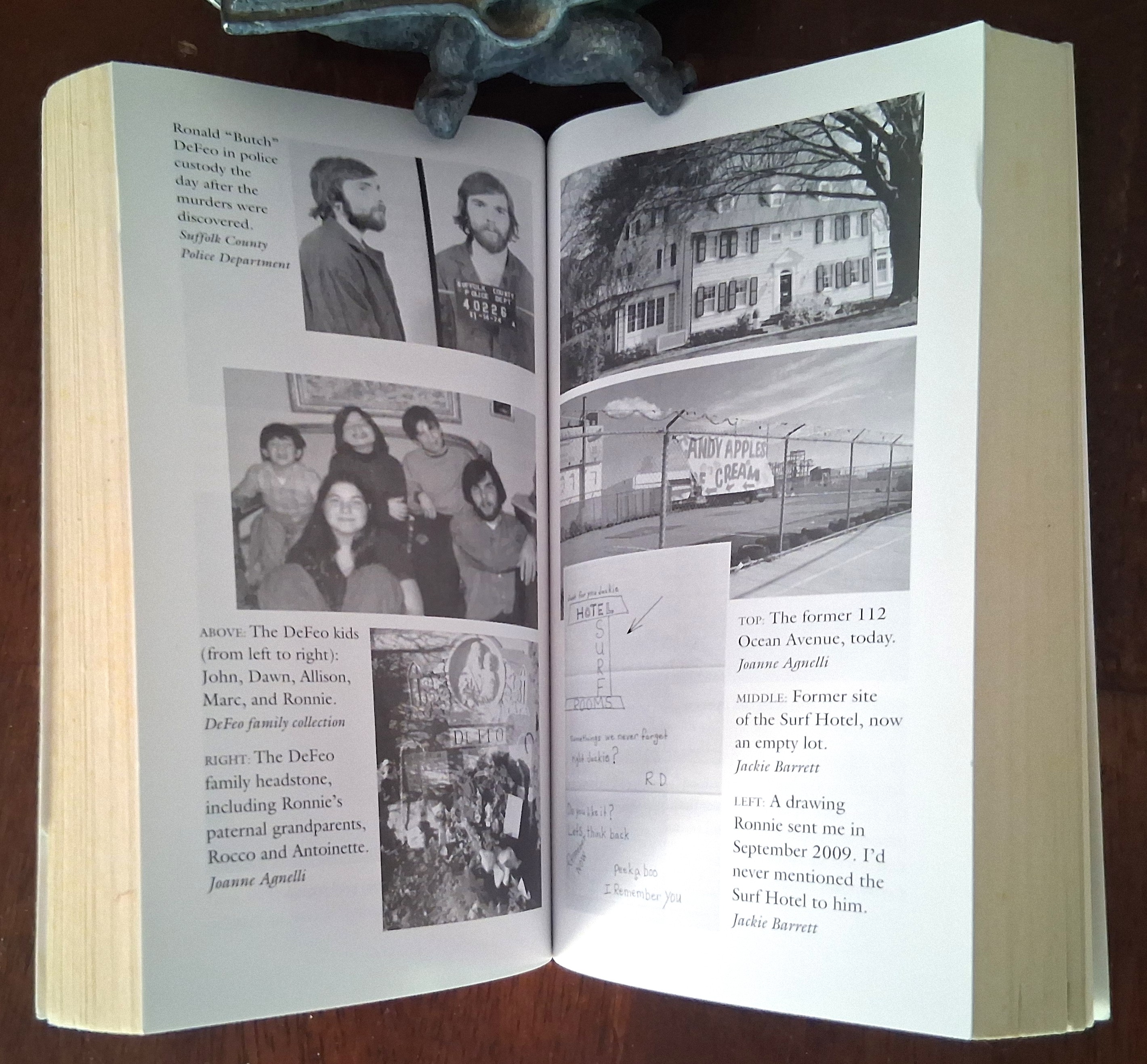 The Devil I Know: My Haunting Journey with Ronnie DeFeo and the True Story of the Amityville Murders