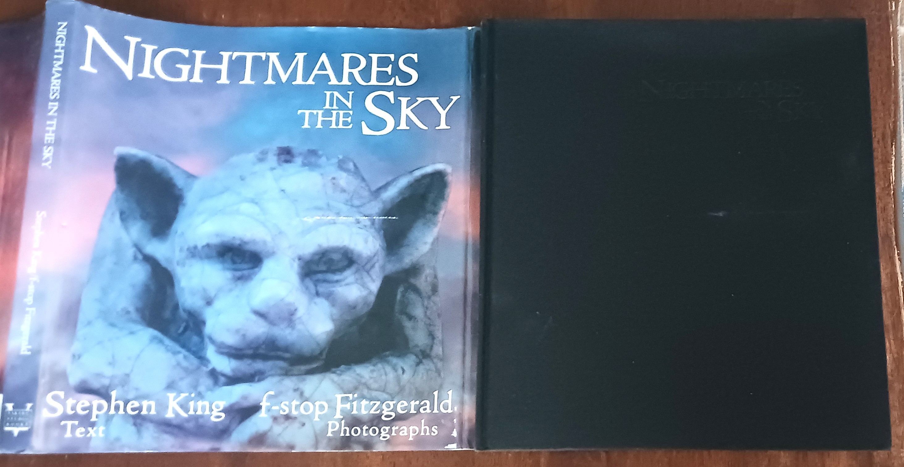 Image for Nightmares in the Sky: Gargoyles and Grotesques Nightmares in the Sky: Gargoyles and Grotesques