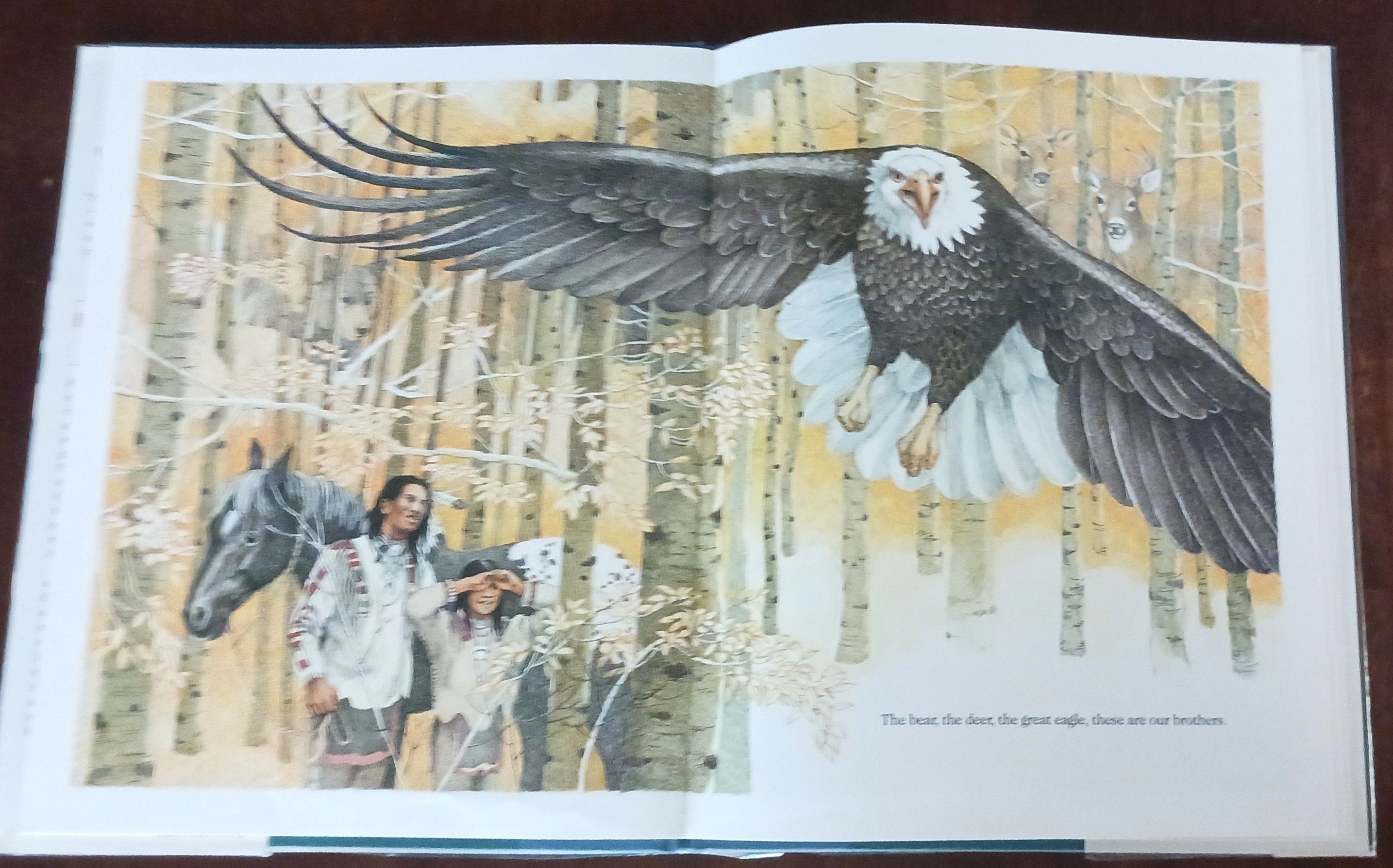 Image for Brother Eagle, Sister Sky: A Message from Chief Seattle Brother Eagle, Sister Sky: A Message from Chief Seattle