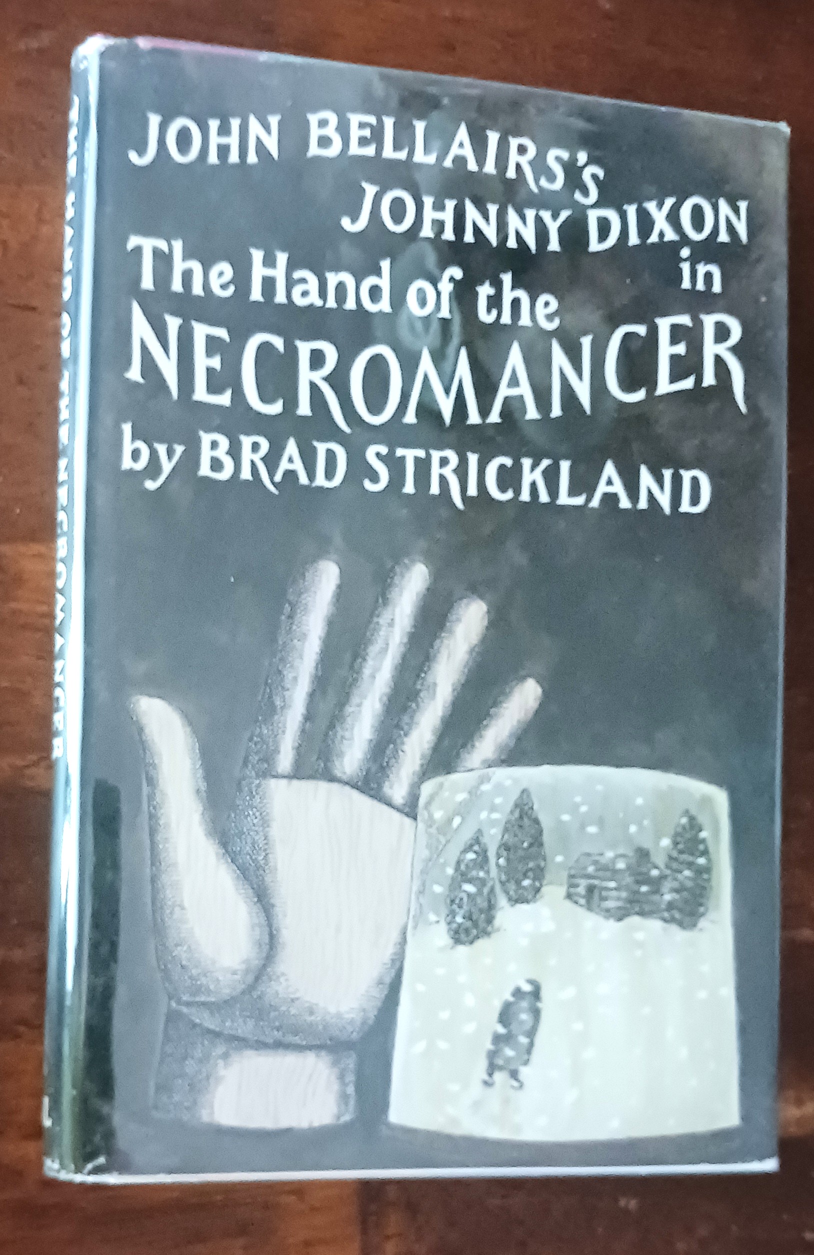 Image for The Hand of the Necromancer The Hand of the Necromancer