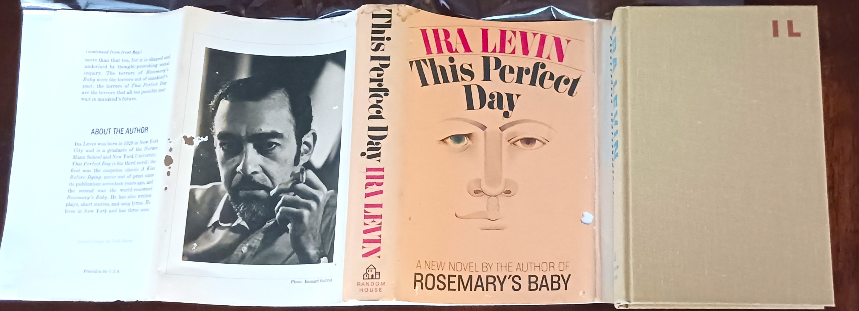 Image for This Perfect Day This Perfect Day