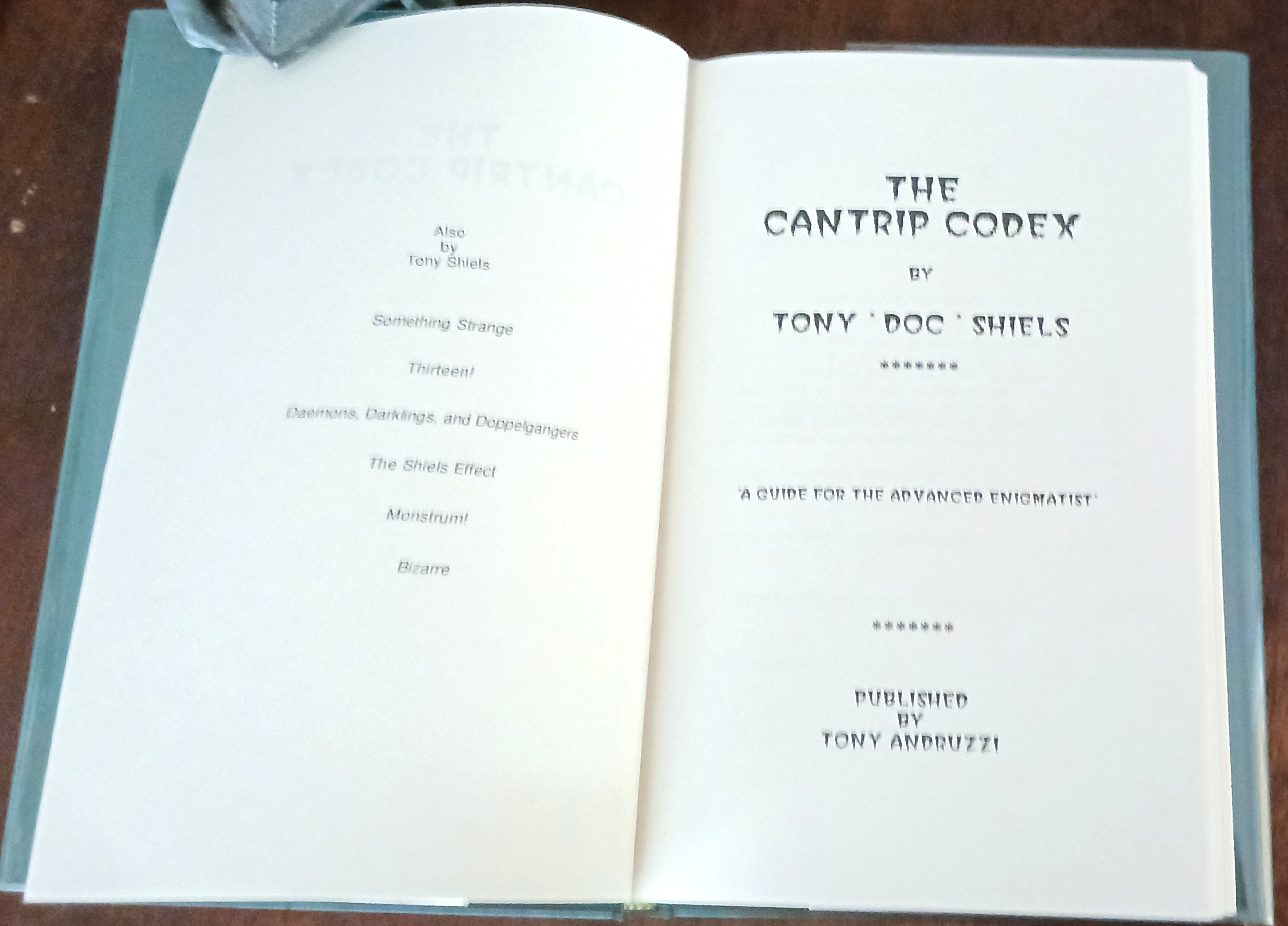 Image for The Cantrip Codex The Cantrip Codex