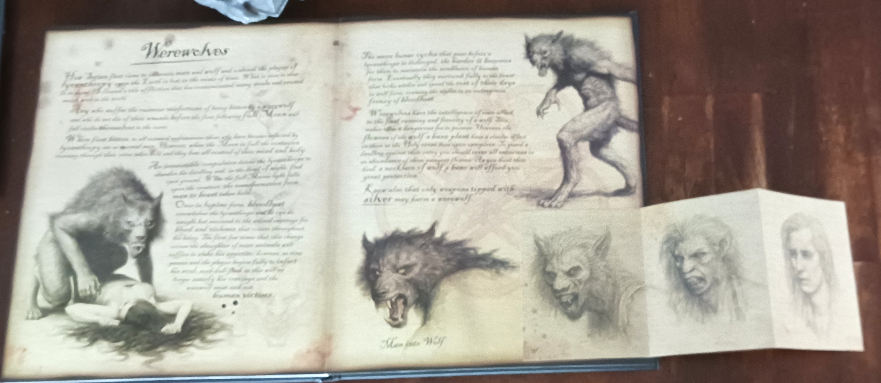 Image for The Demon Hunter's Handbook The Demon Hunter's Handbook