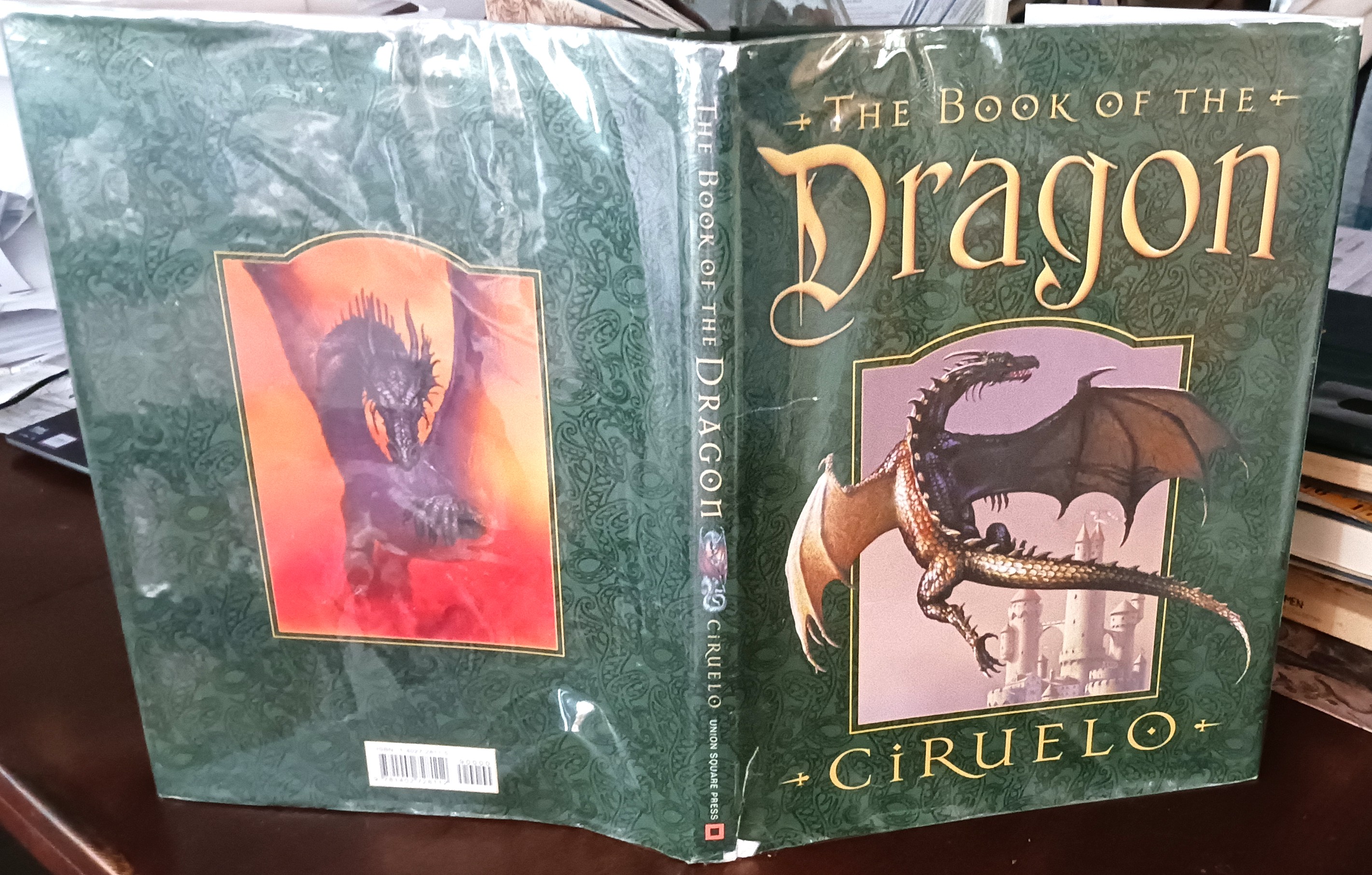 Image for The Book of the Dragon The Book of the Dragon
