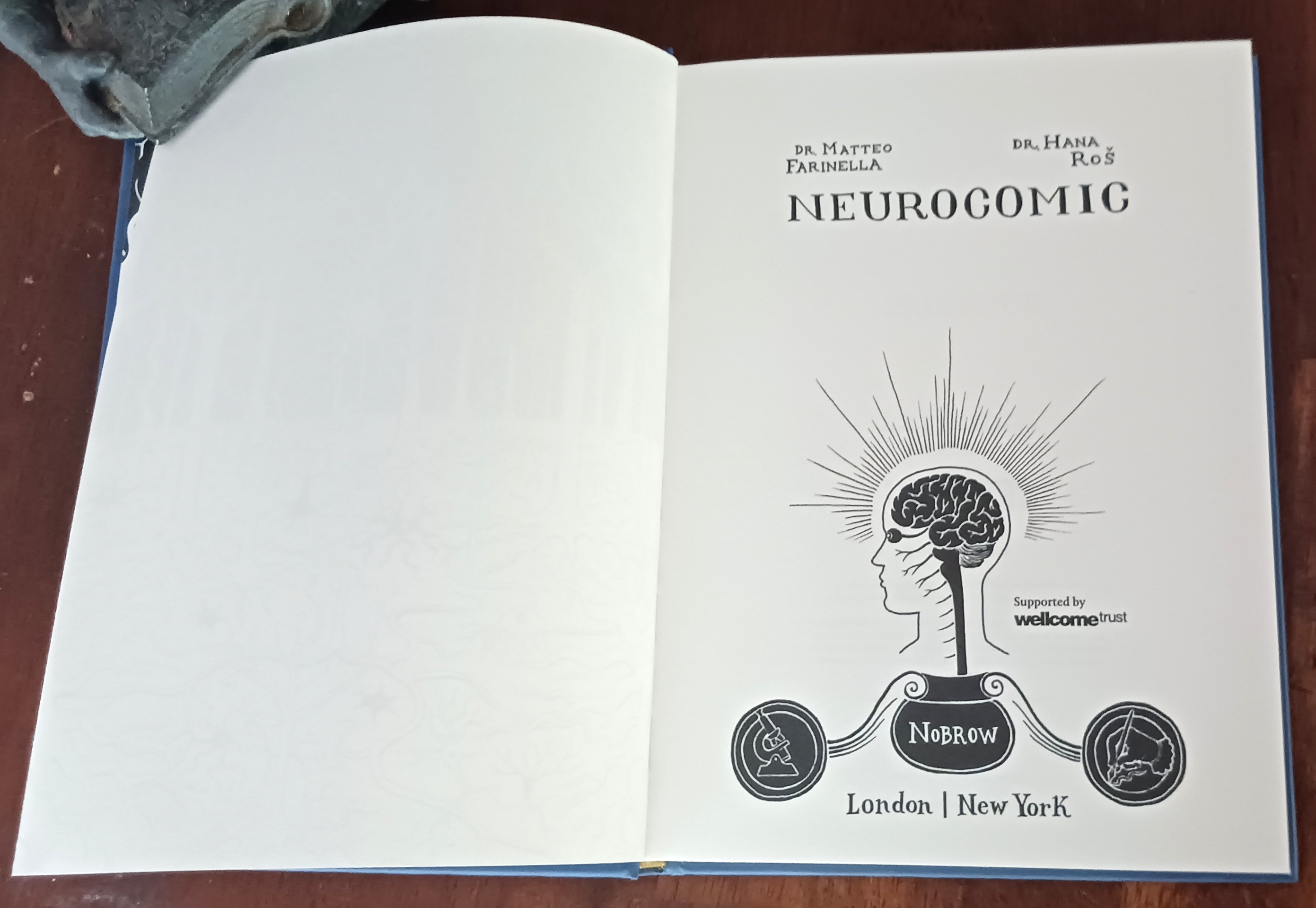 Neurocomic