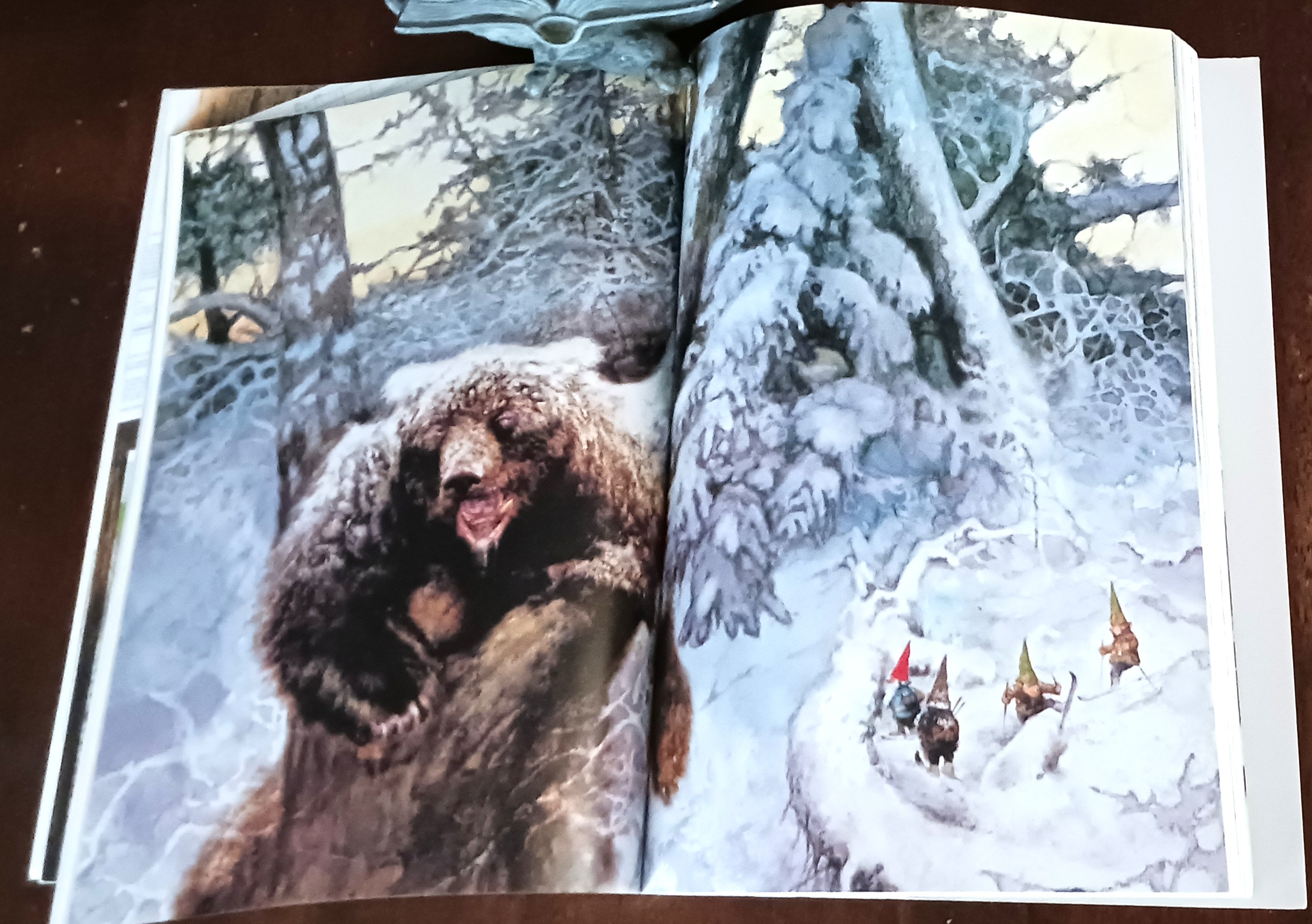 Image for Secrets of the Gnomes Secrets of the Gnomes