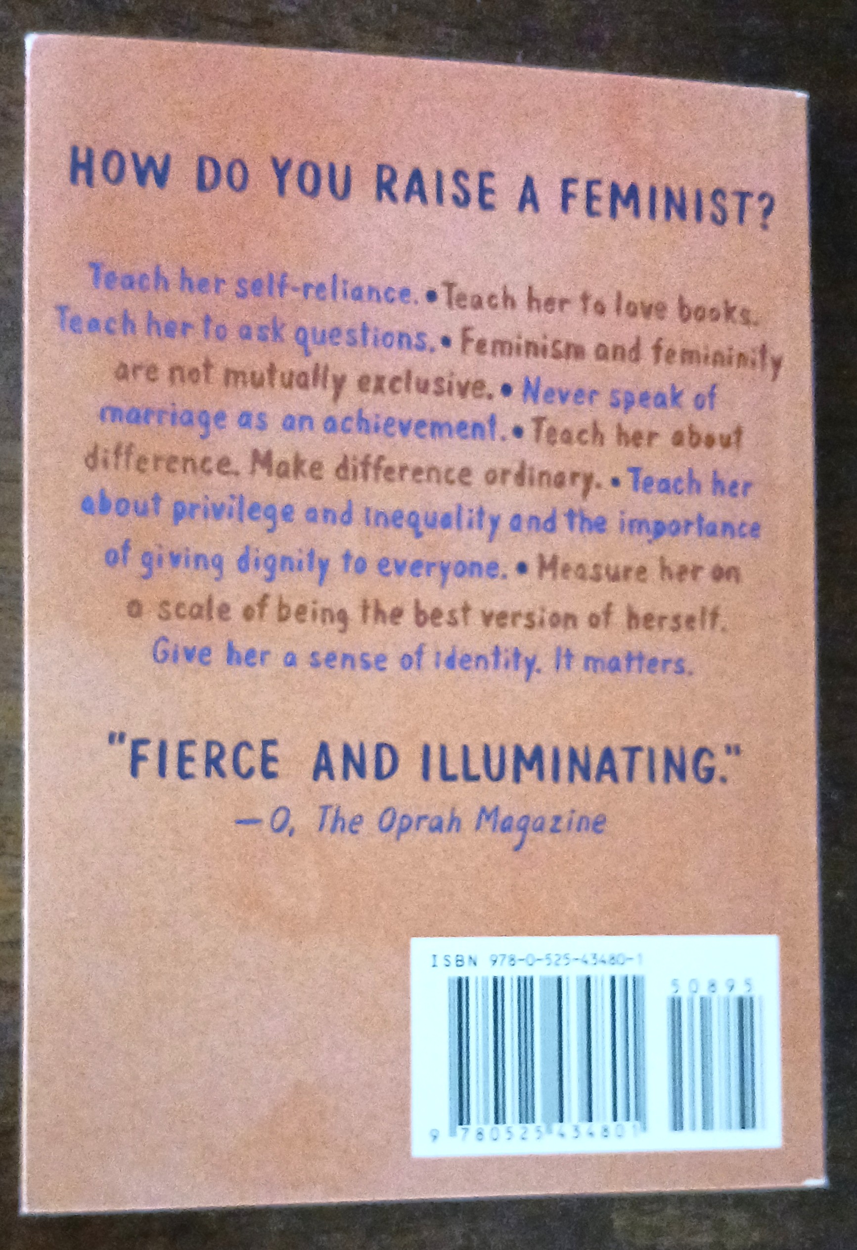Image for Dear Ijeawele, or A Feminist Manifesto in Fifteen Suggestions Dear Ijeawele, or A Feminist Manifesto in Fifteen Suggestions