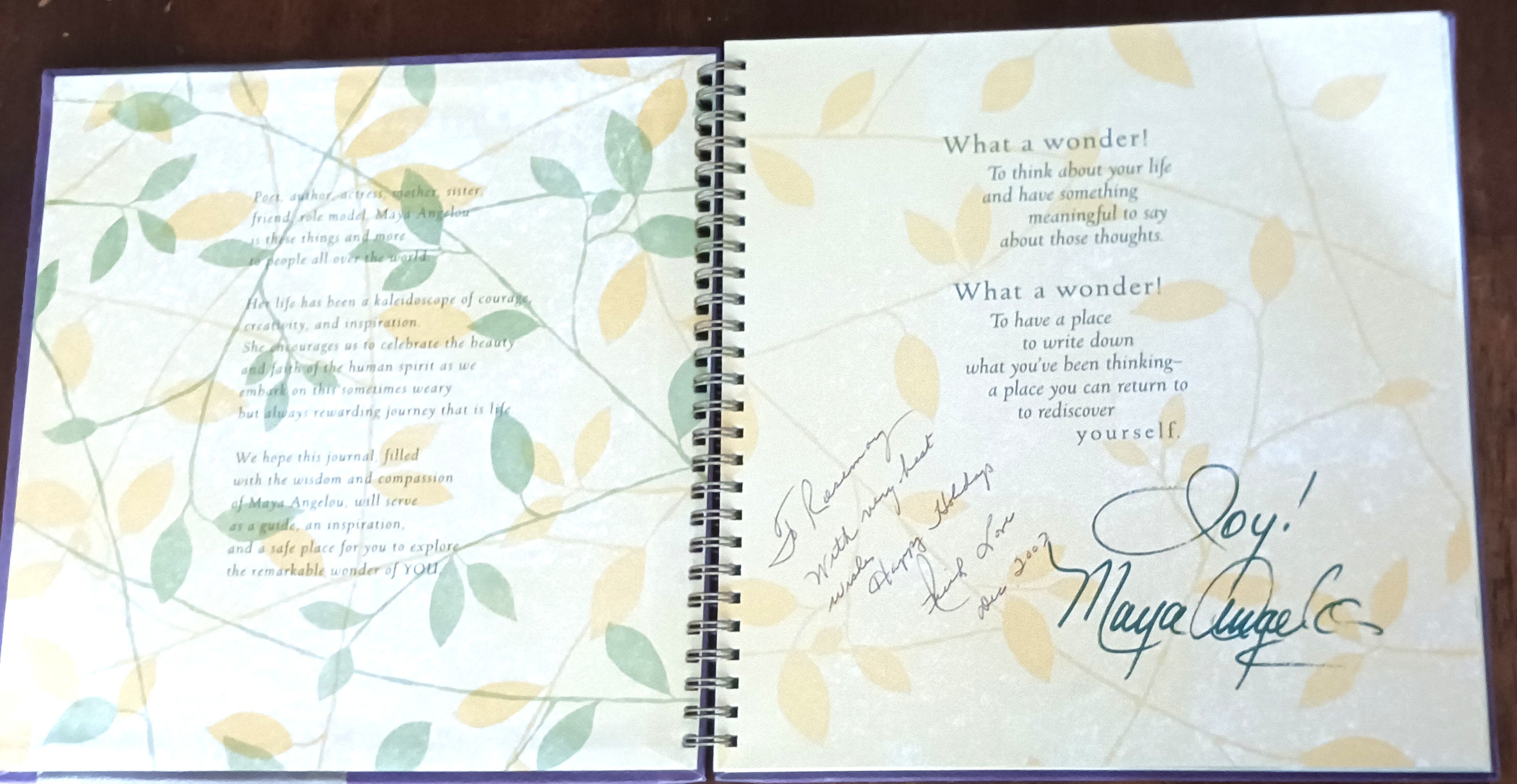 Image for Maya Angelou: Life Mosaic (Journal) Maya Angelou: Life Mosaic (Journal)