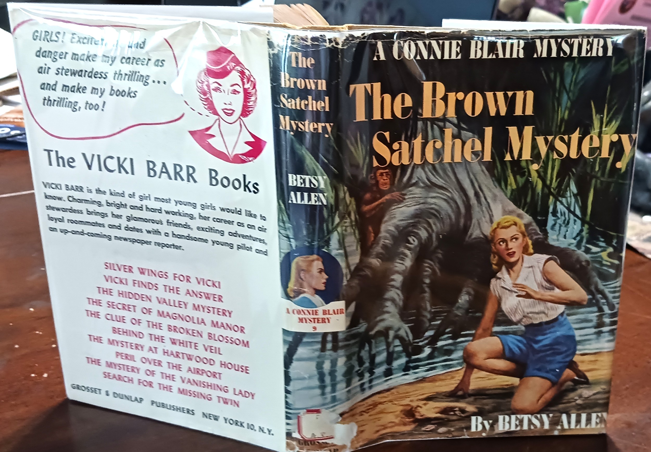 Image for The Brown Satchel Mystery (A Connie Blair Mystery) The Brown Satchel Mystery (A Connie Blair Mystery)
