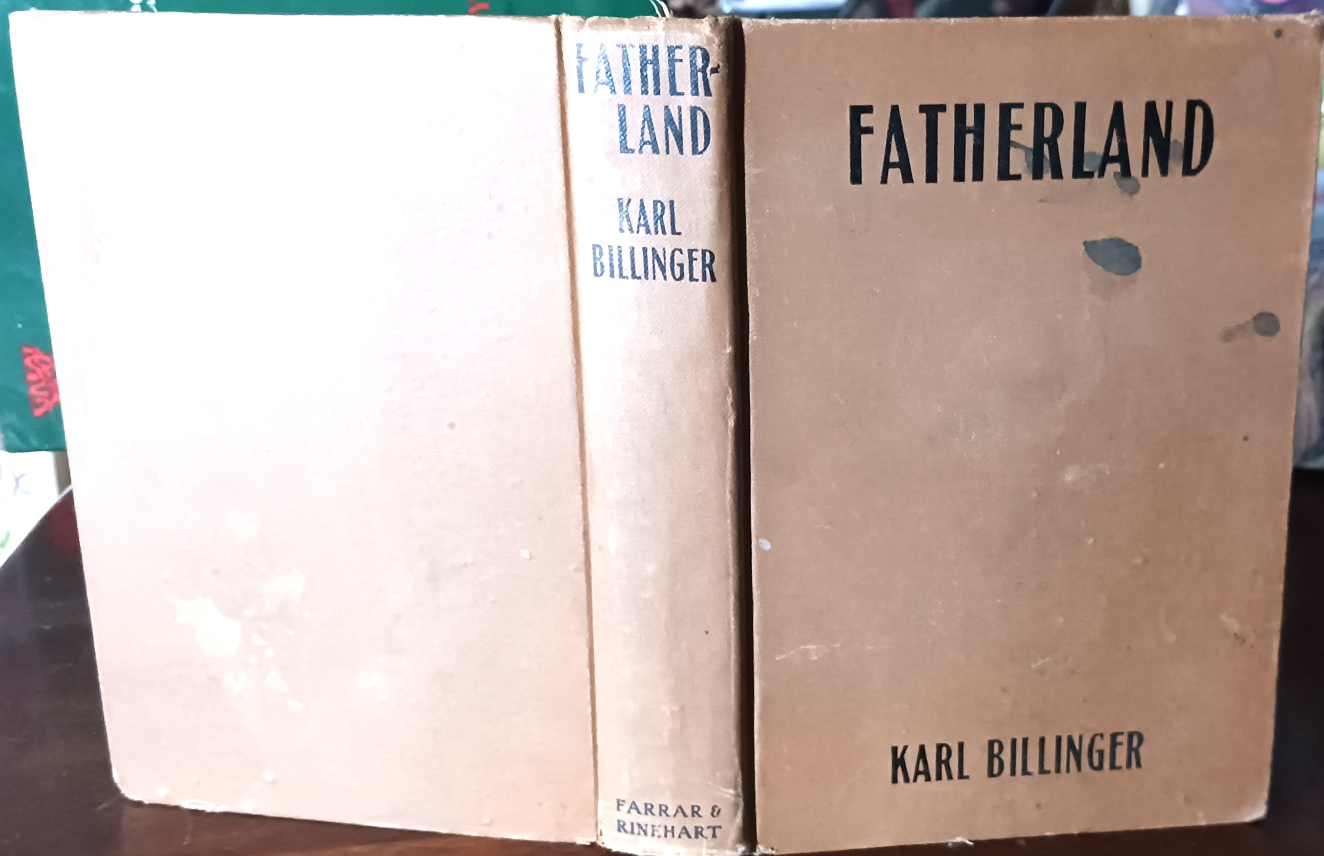 Image for Fatherland Fatherland