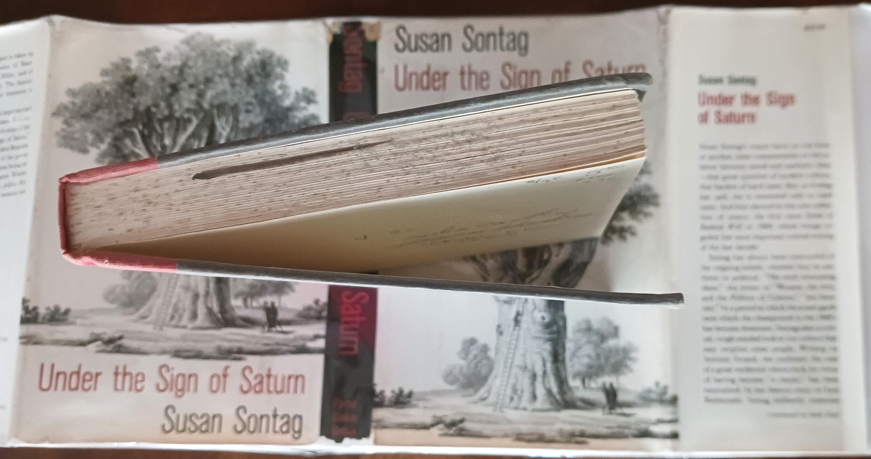 Image for Under the Sign of Saturn Under the Sign of Saturn
