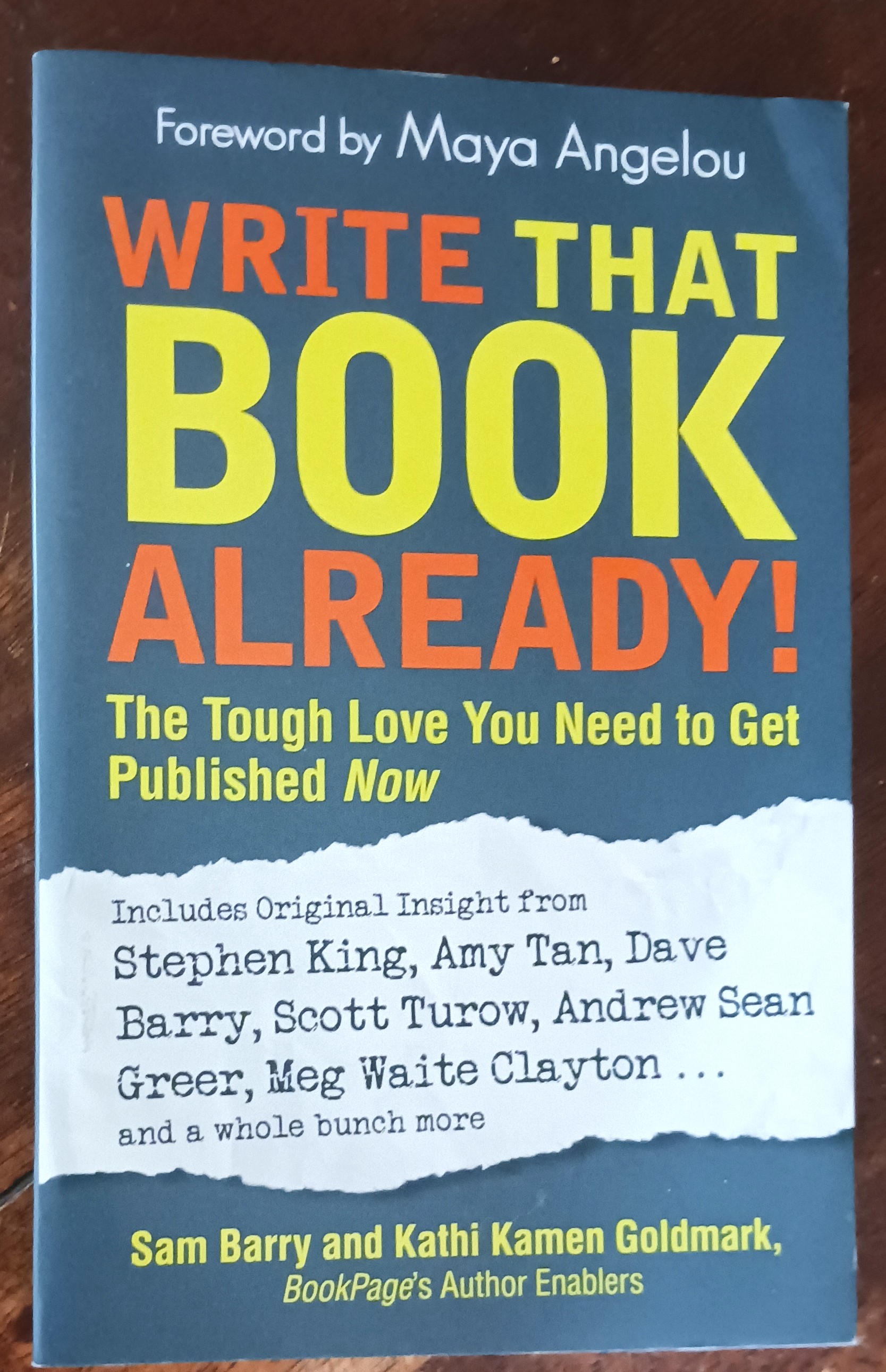 Image for Write That Book Already!: The Tough Love You Need to Get Published Now Write That Book Already!: The Tough Love You Need to Get Published Now