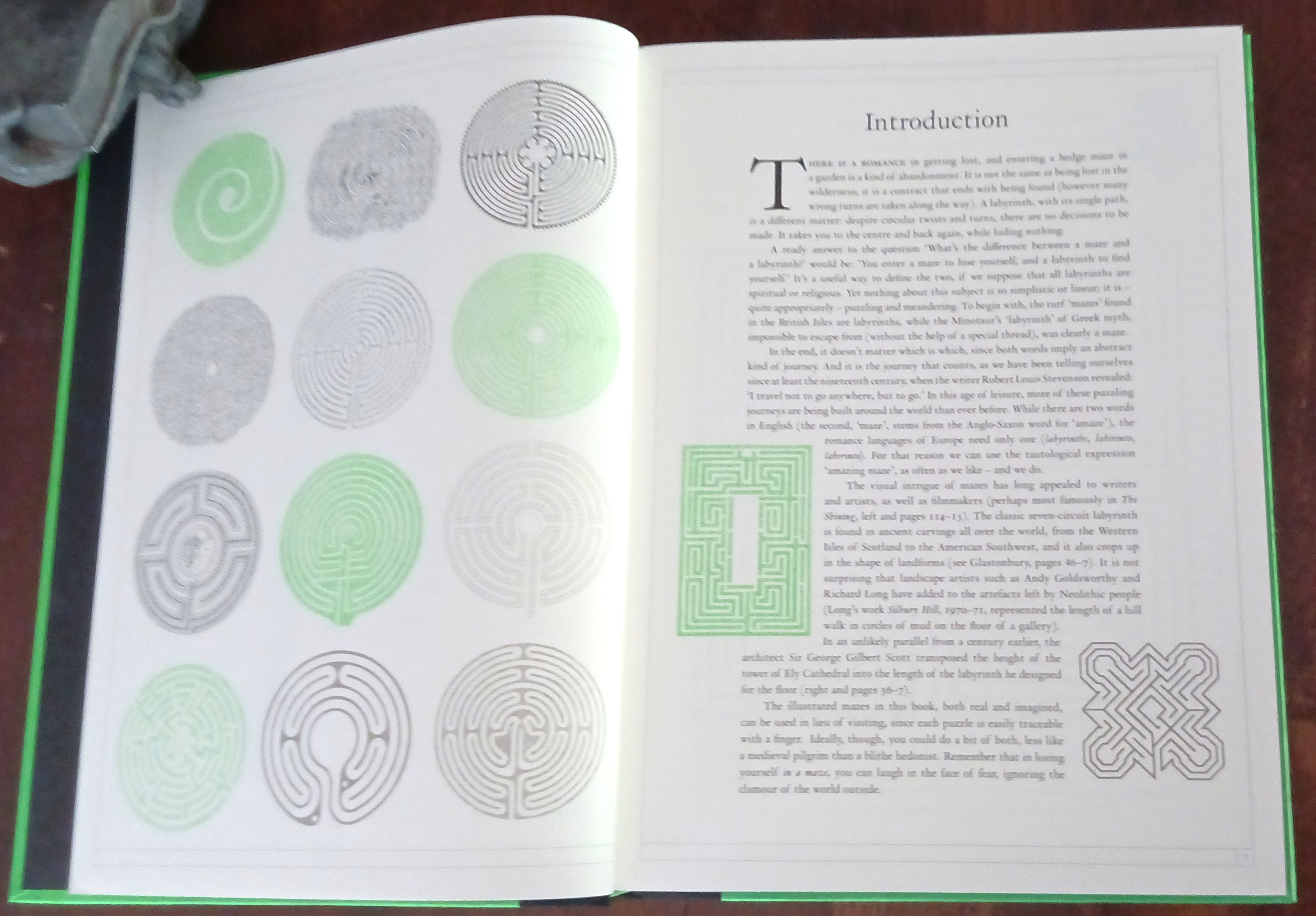 Image for The Maze: A Labyrinthine Compendium The Maze: A Labyrinthine Compendium
