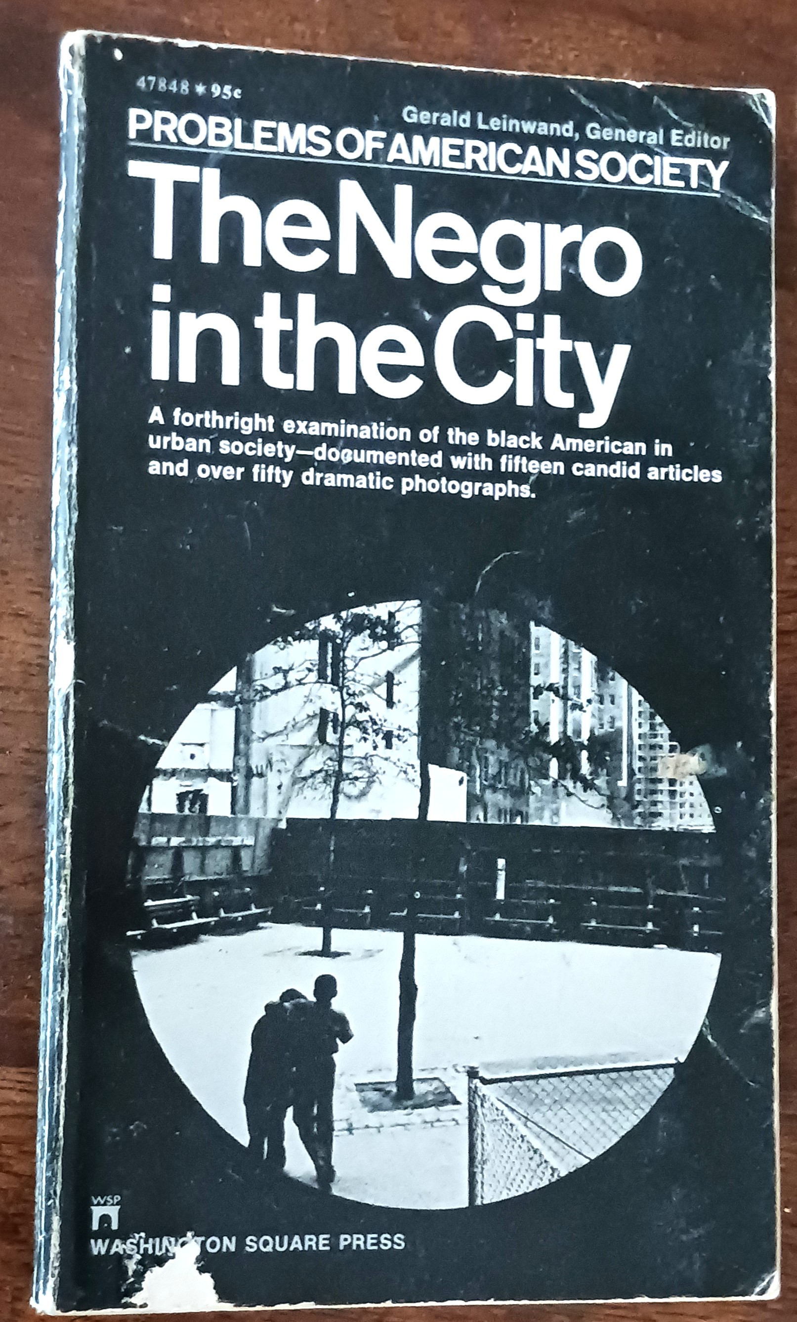Image for The Negro in the City (Problems of American Society series) The Negro in the City (Problems of American Society series)