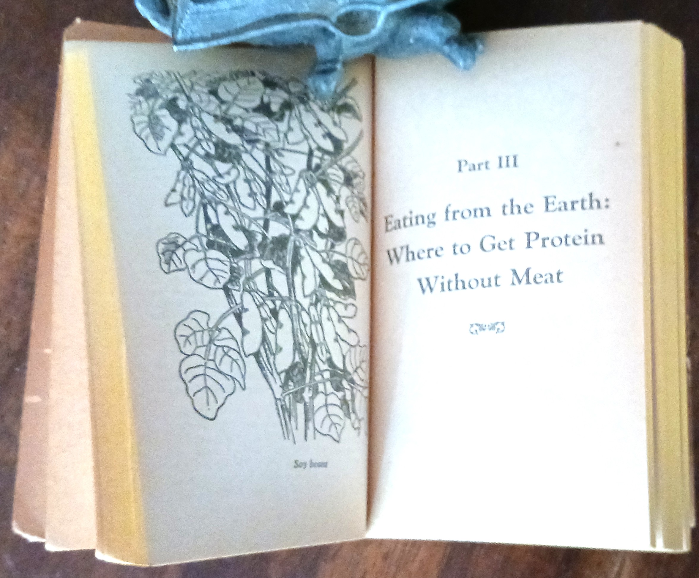 Image for Diet for a Small Planet-Revised Edition Diet for a Small Planet-Revised Edition