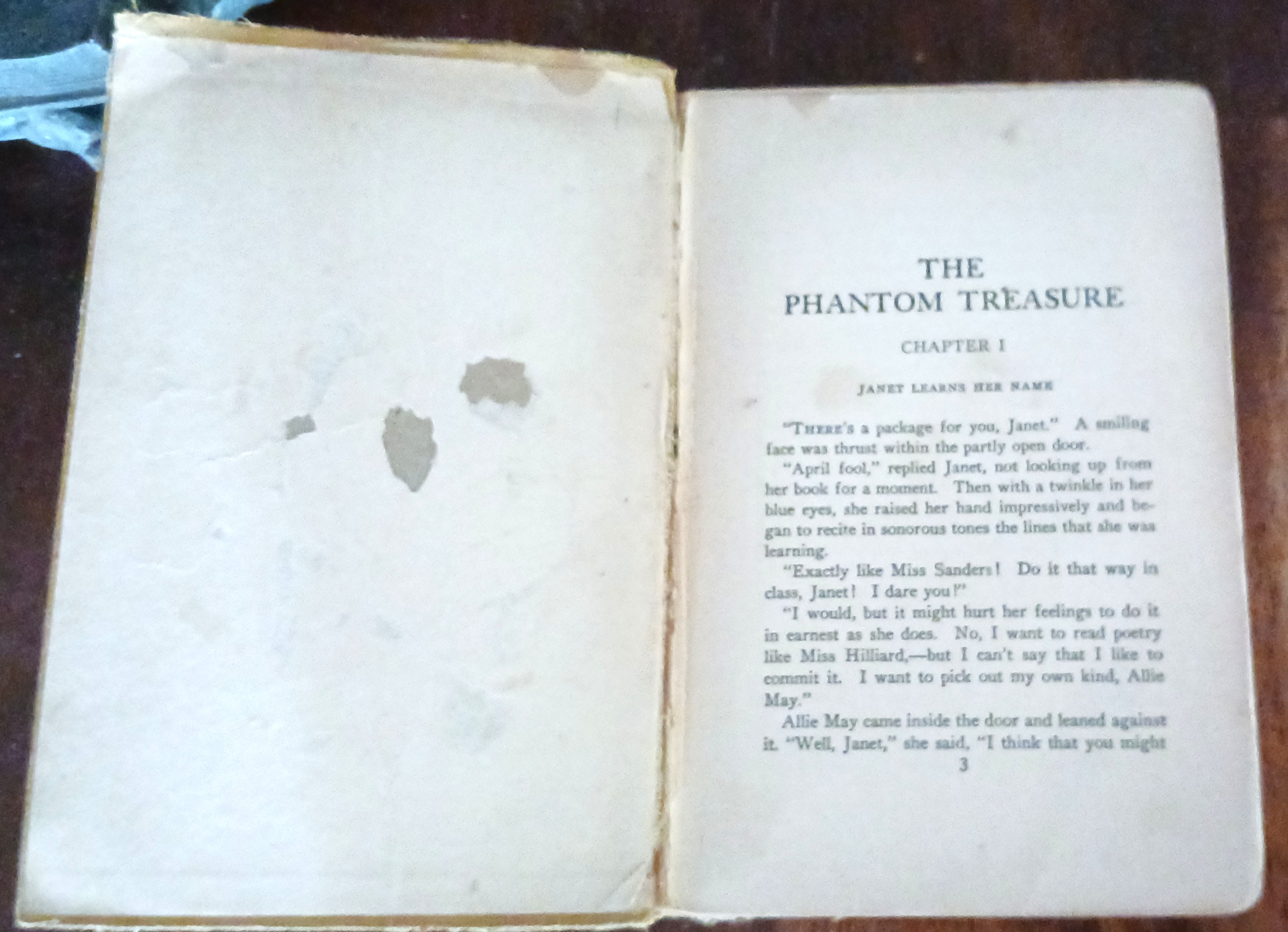 The Phantom Treasure (Adventure & Mystrey Series for Girls)