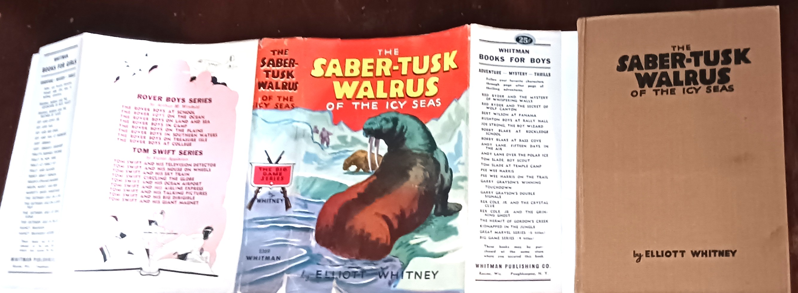 Image for The Saber-Tusk Walrus of the Icy Seas (Big Game Series) The Saber-Tusk Walrus of the Icy Seas (Big Game Series)