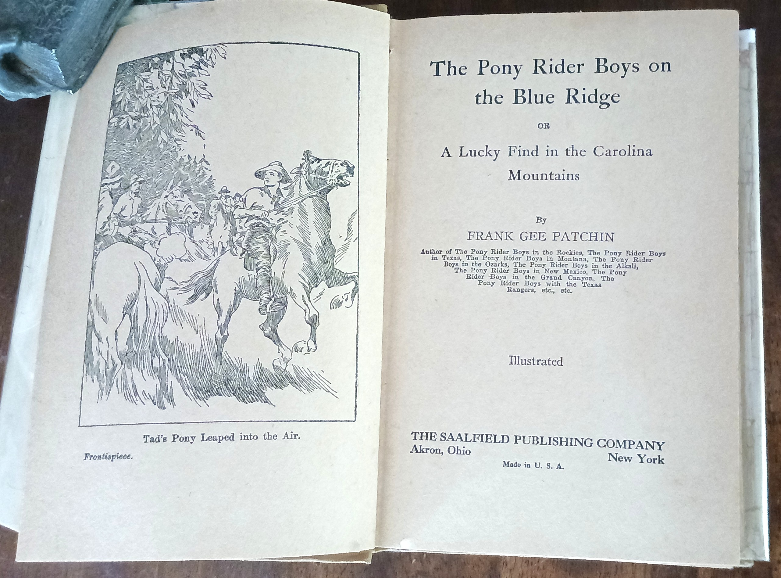 The Pony Rider Boys on the Blue Ridge or a Lucky Find in the Carolina Mountains (Pony Rider Boys Series)