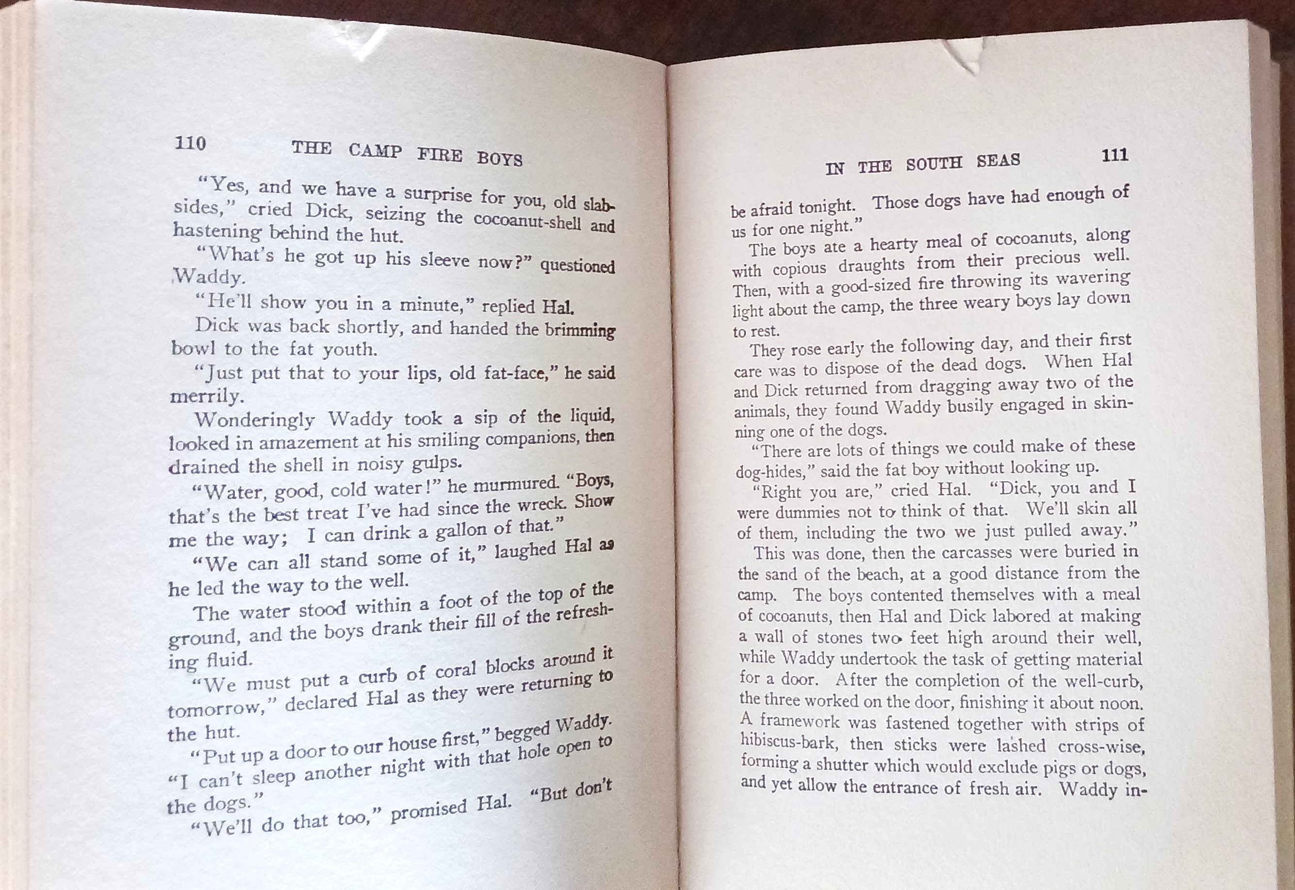 Image for The Camp-Fire Boys in the South Seas (Camp-Fire Boys series) The Camp-Fire Boys in the South Seas (Camp-Fire Boys series)