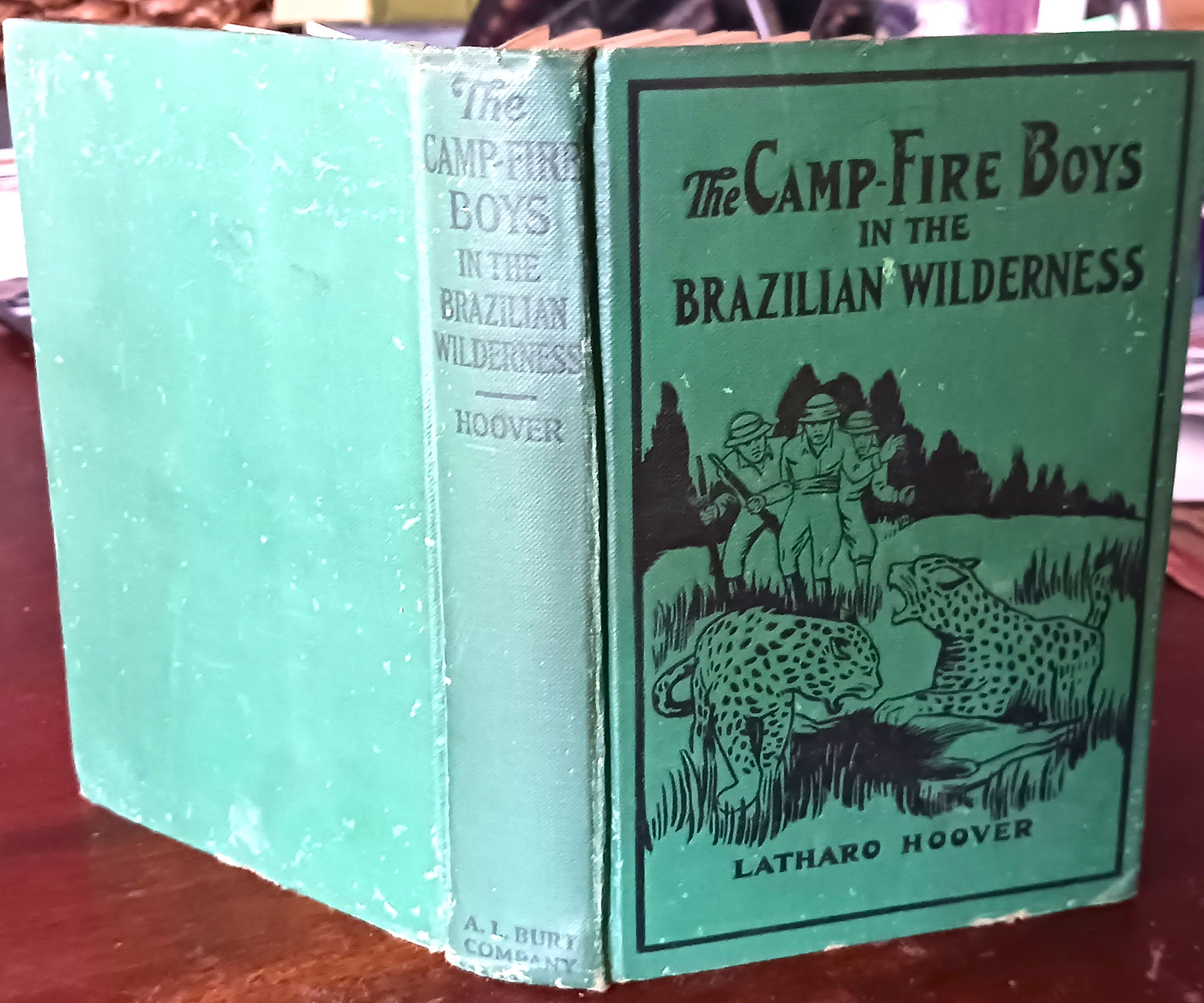 Image for The Camp-Fire Boys in the Brazilian Wilderness (Camp-Fire Boys series) The Camp-Fire Boys in the Brazilian Wilderness (Camp-Fire Boys series)