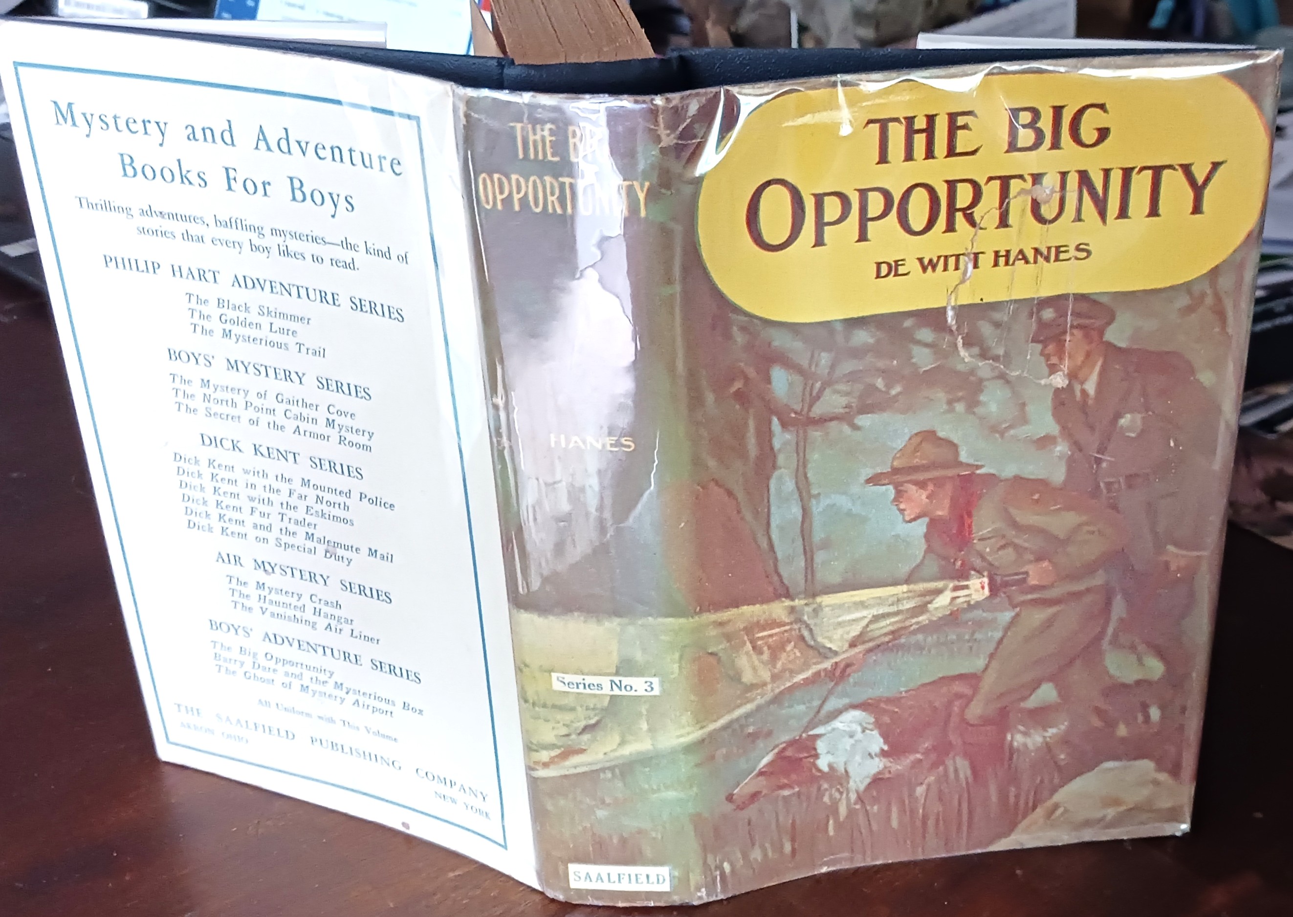 Image for The Big Opportunity The Big Opportunity