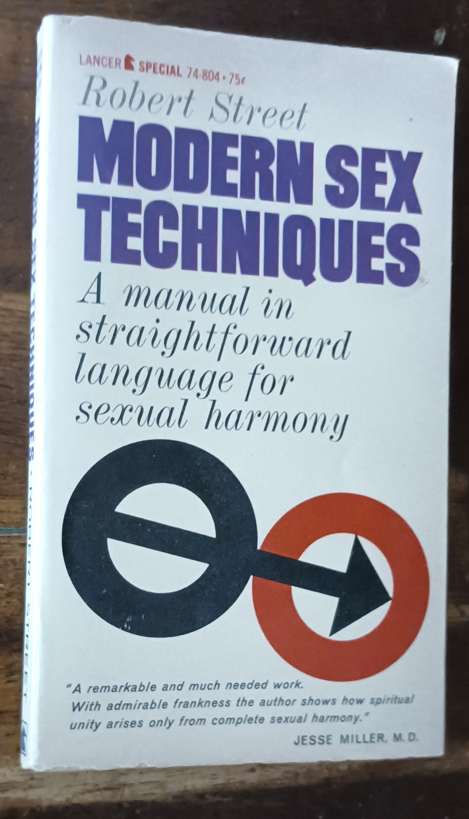 Image for Modern Sex Techniques Modern Sex Techniques