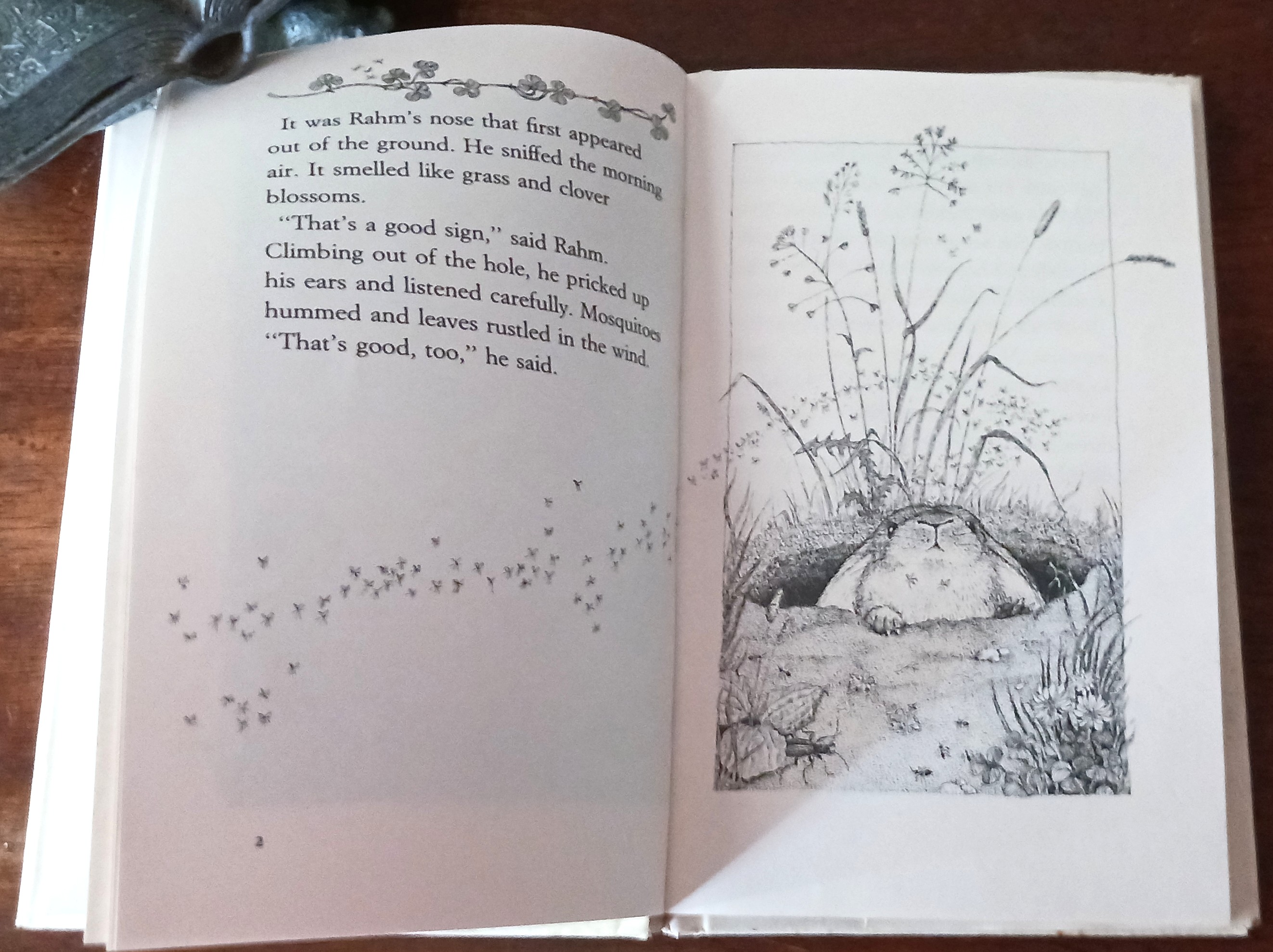 Image for Rabbit Spring Rabbit Spring