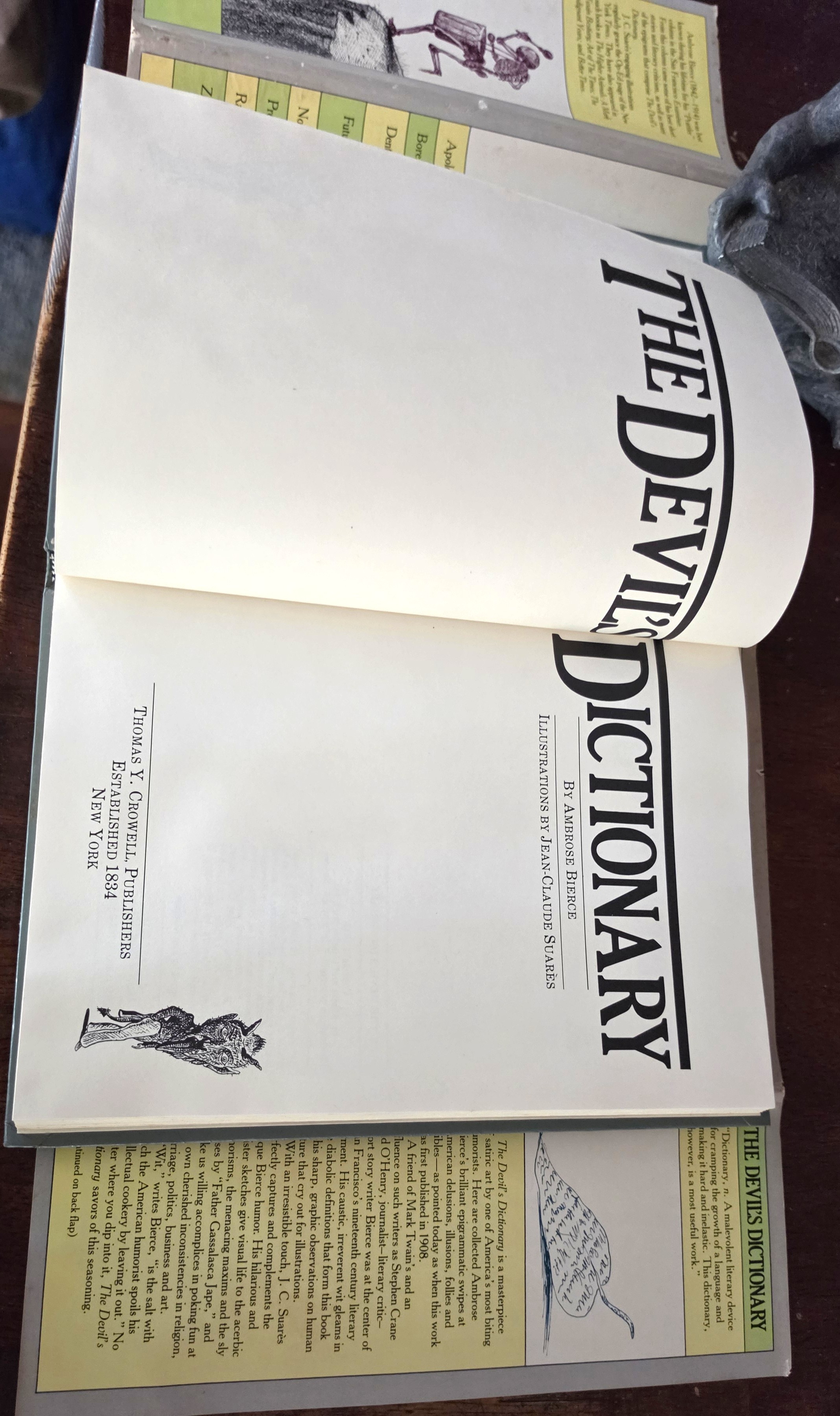 Image for The Devil's Dictionary The Devil's Dictionary