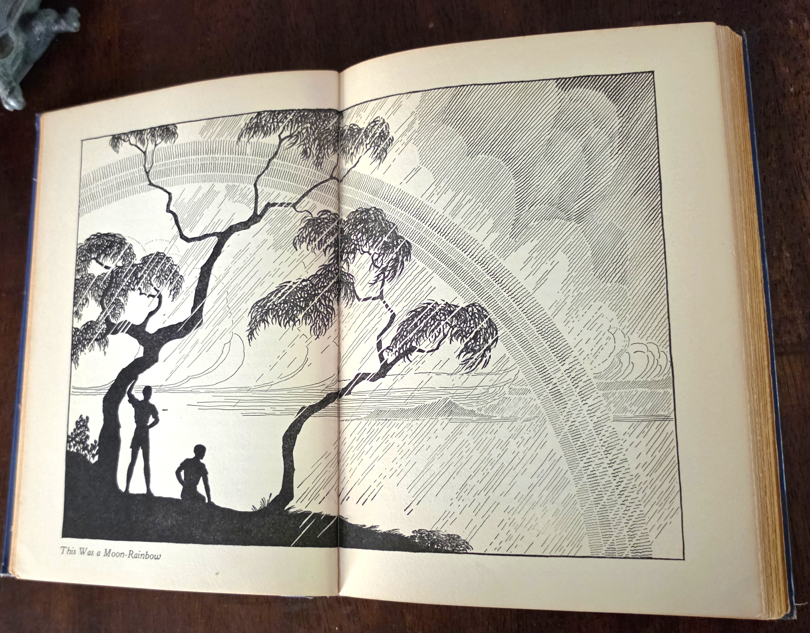 Image for Stowaways in Paradise: Two Boy Adventurers in Hawaii Stowaways in Paradise: Two Boy Adventurers in Hawaii