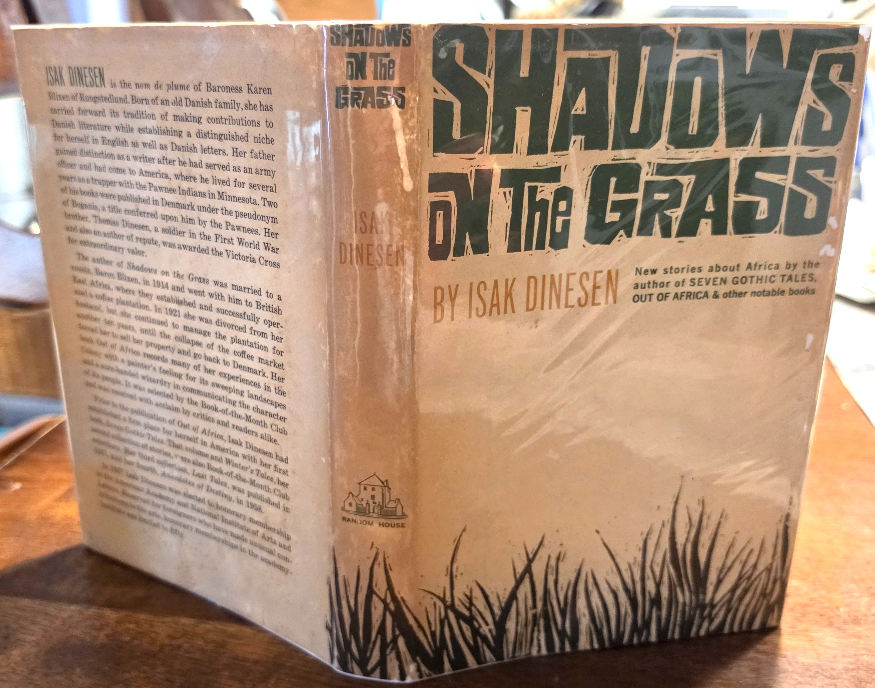 Image for Shadows on the Grass Shadows on the Grass