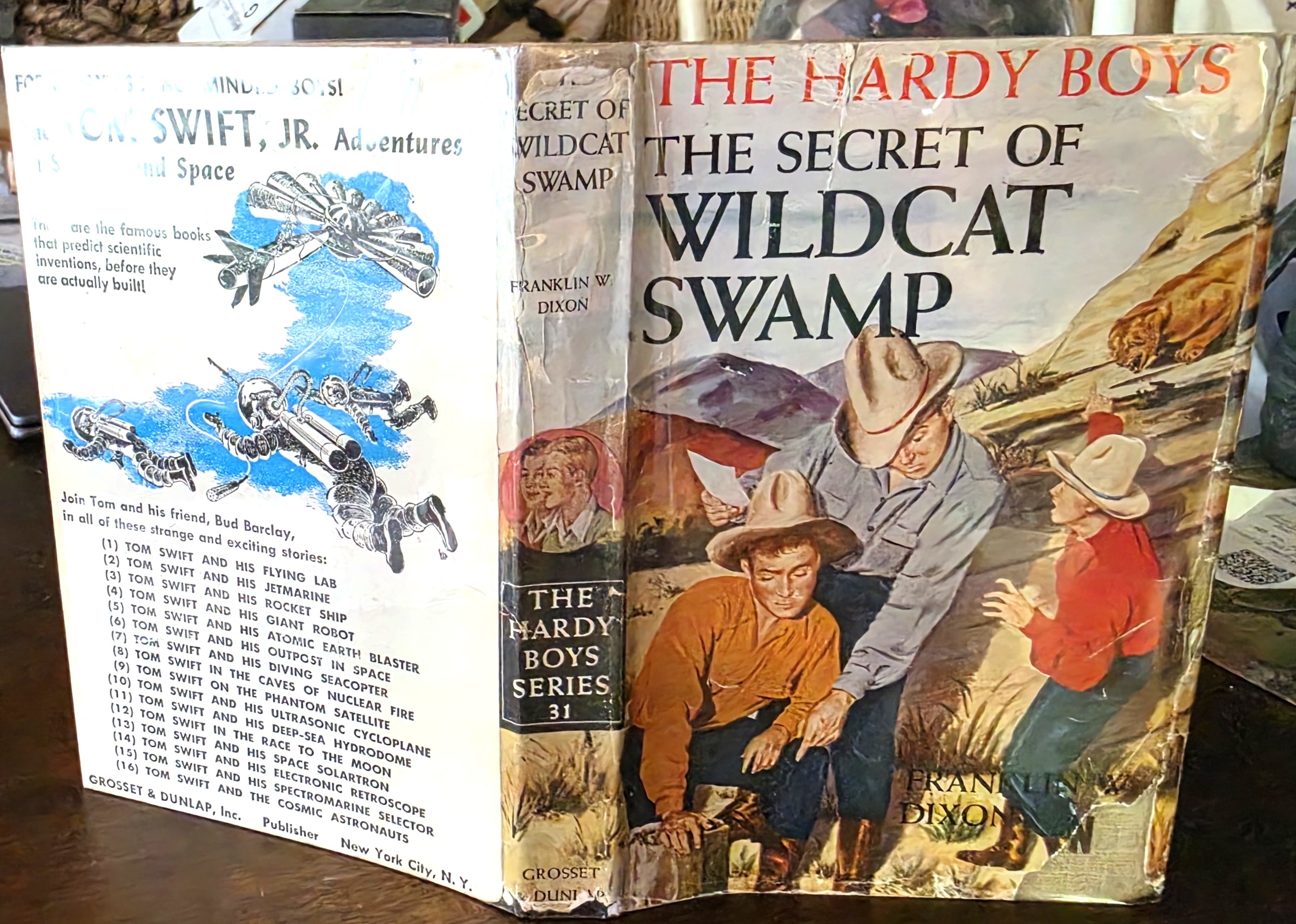 Image for The Secret of Wildcat Swamp (Hardy Boys Mystery Stories) The Secret of Wildcat Swamp (Hardy Boys Mystery Stories)